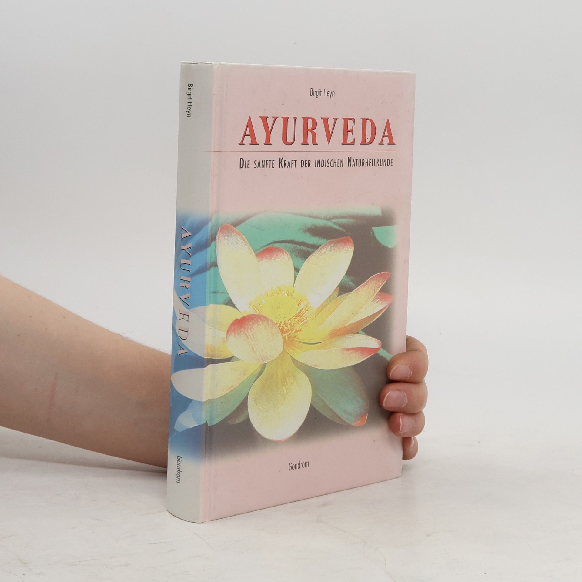 Birgit Heyn Ayurveda