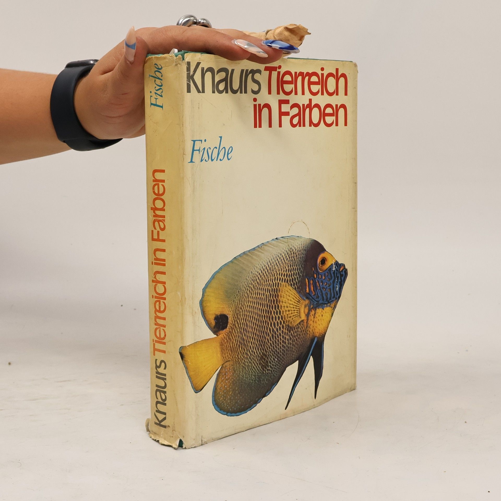 Kolektiv autorů Knaurs Tierreich in Farben: Fische