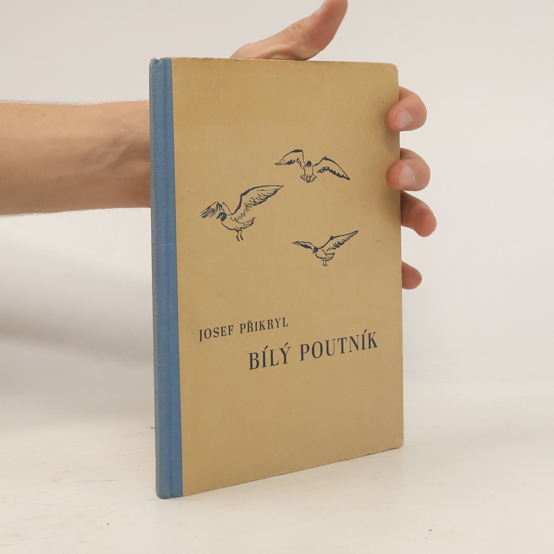 Josef Přikryl Bílý poutník