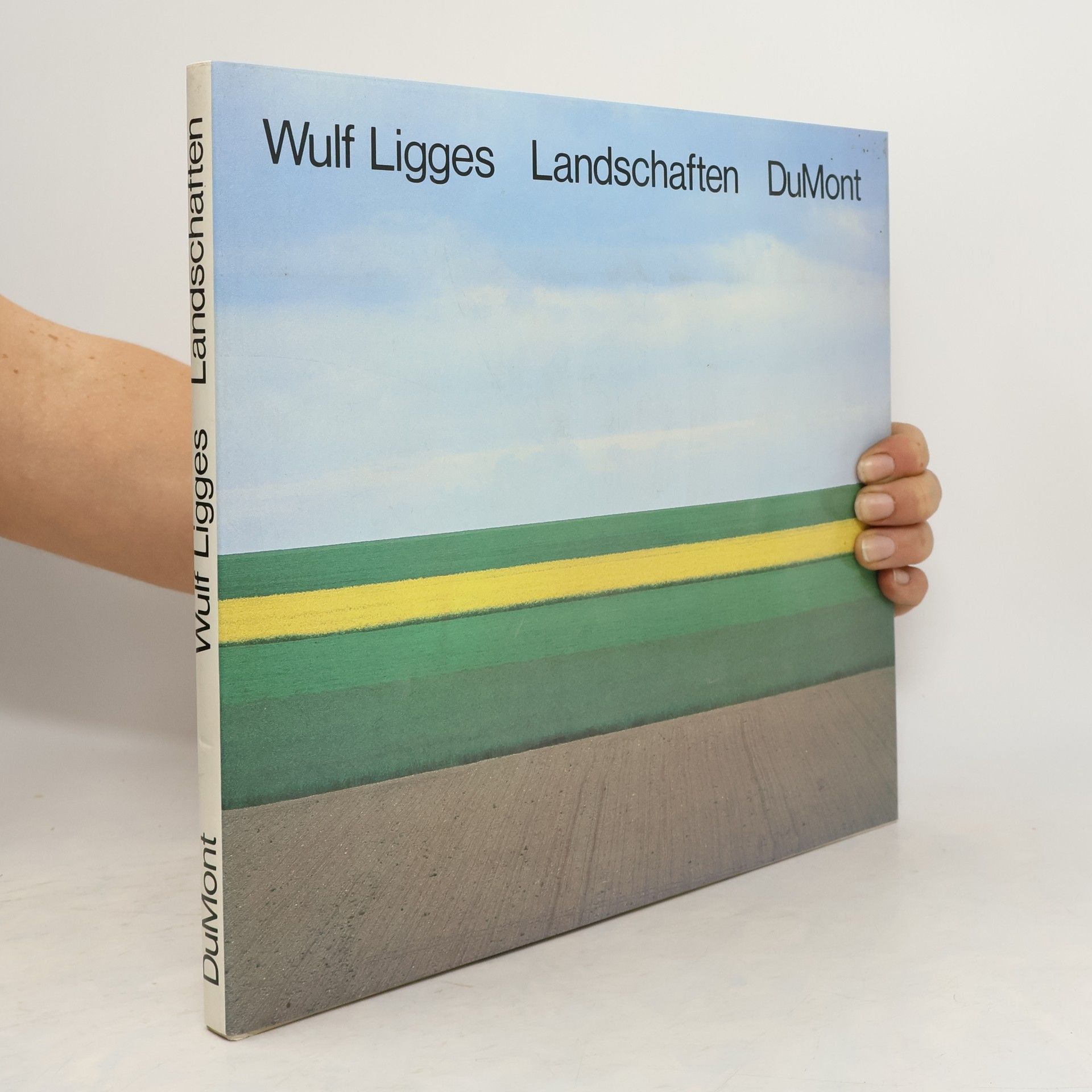 Wulf Ligges Landschaften