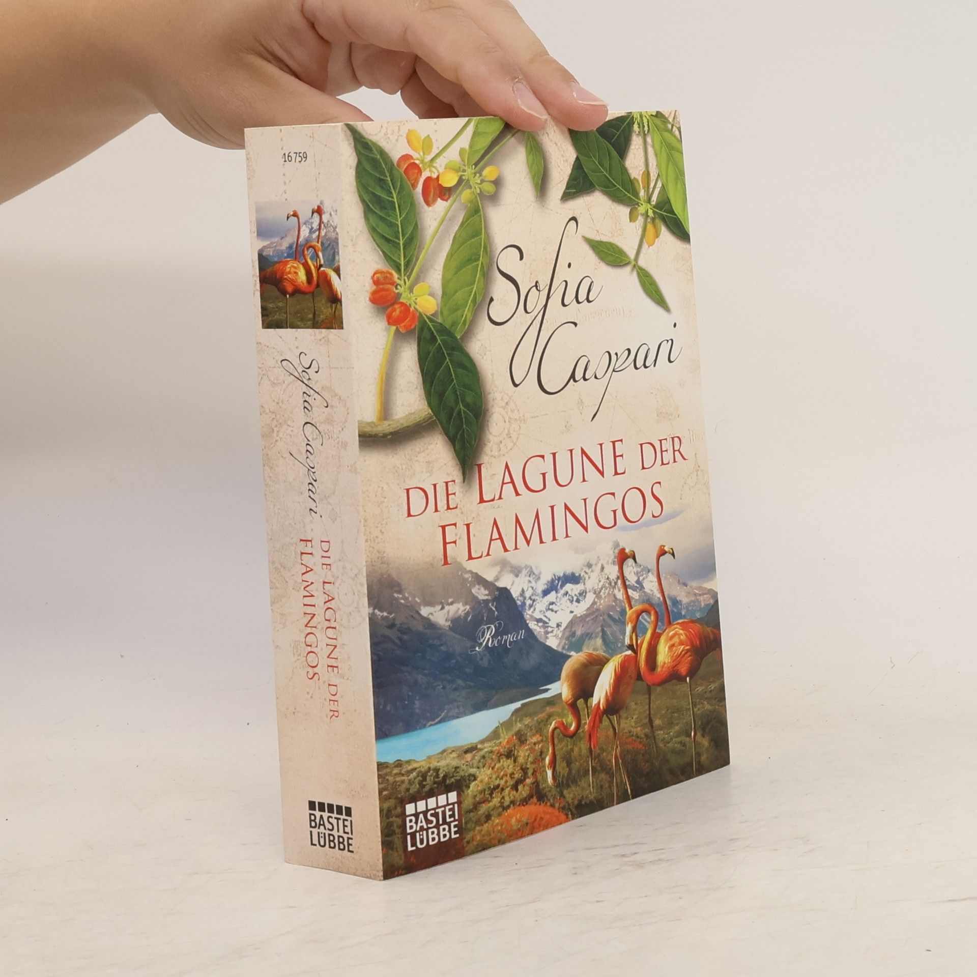 Sofia Caspari Die Lagune der Flamingos