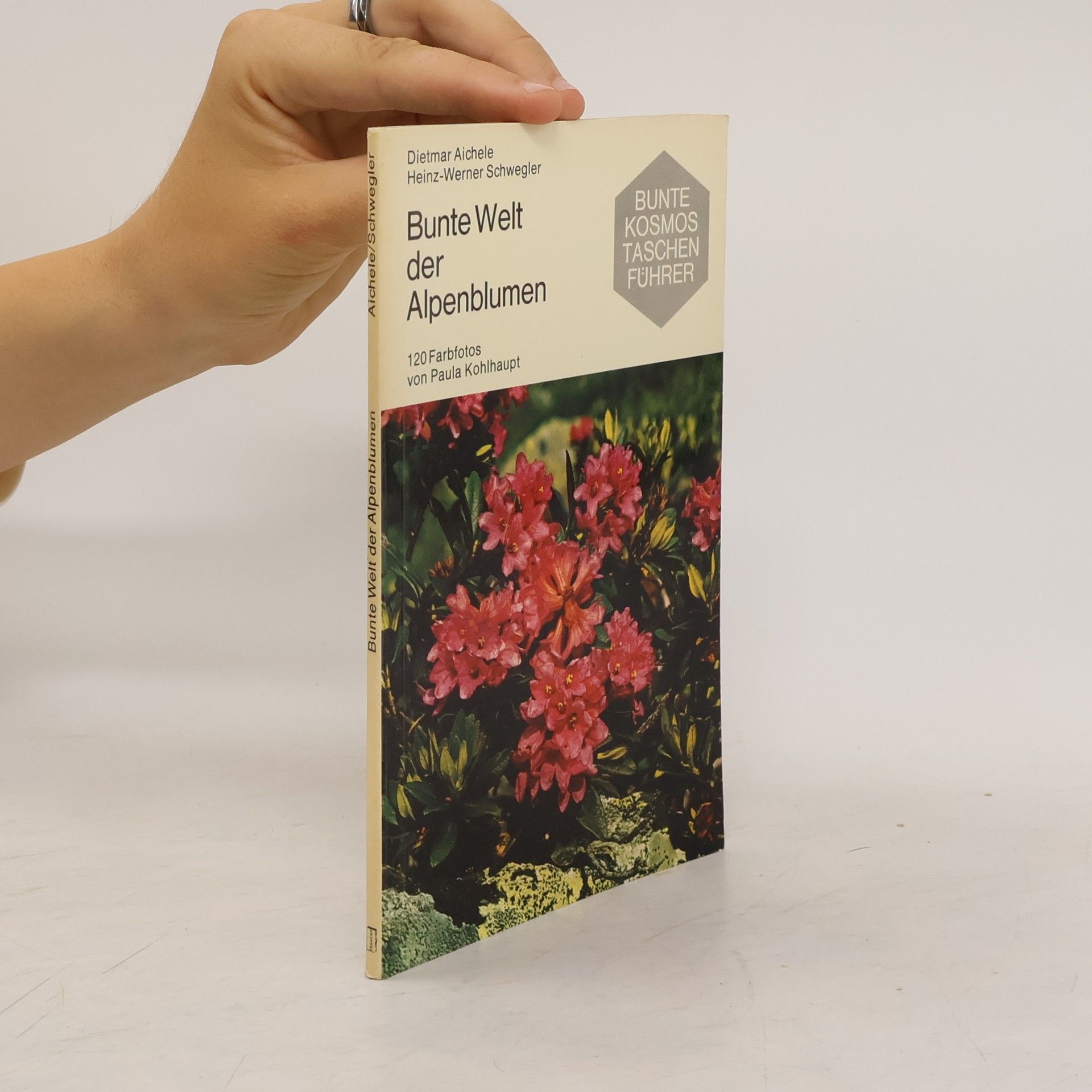 Paula Kohlhaupt Bunte Welt der Alpenblumen