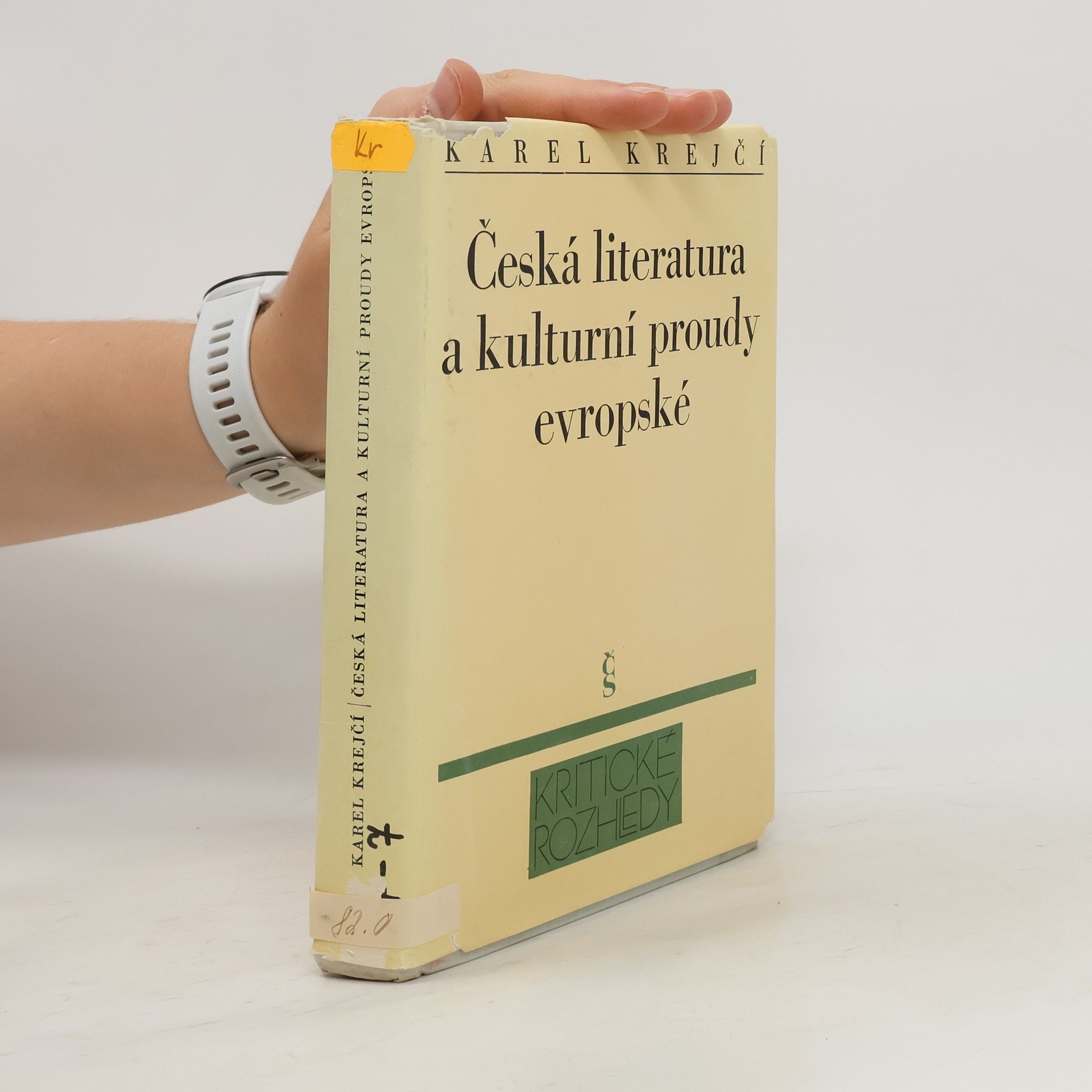 Karel Krejčí Česká literatura a kulturní proudy evropské