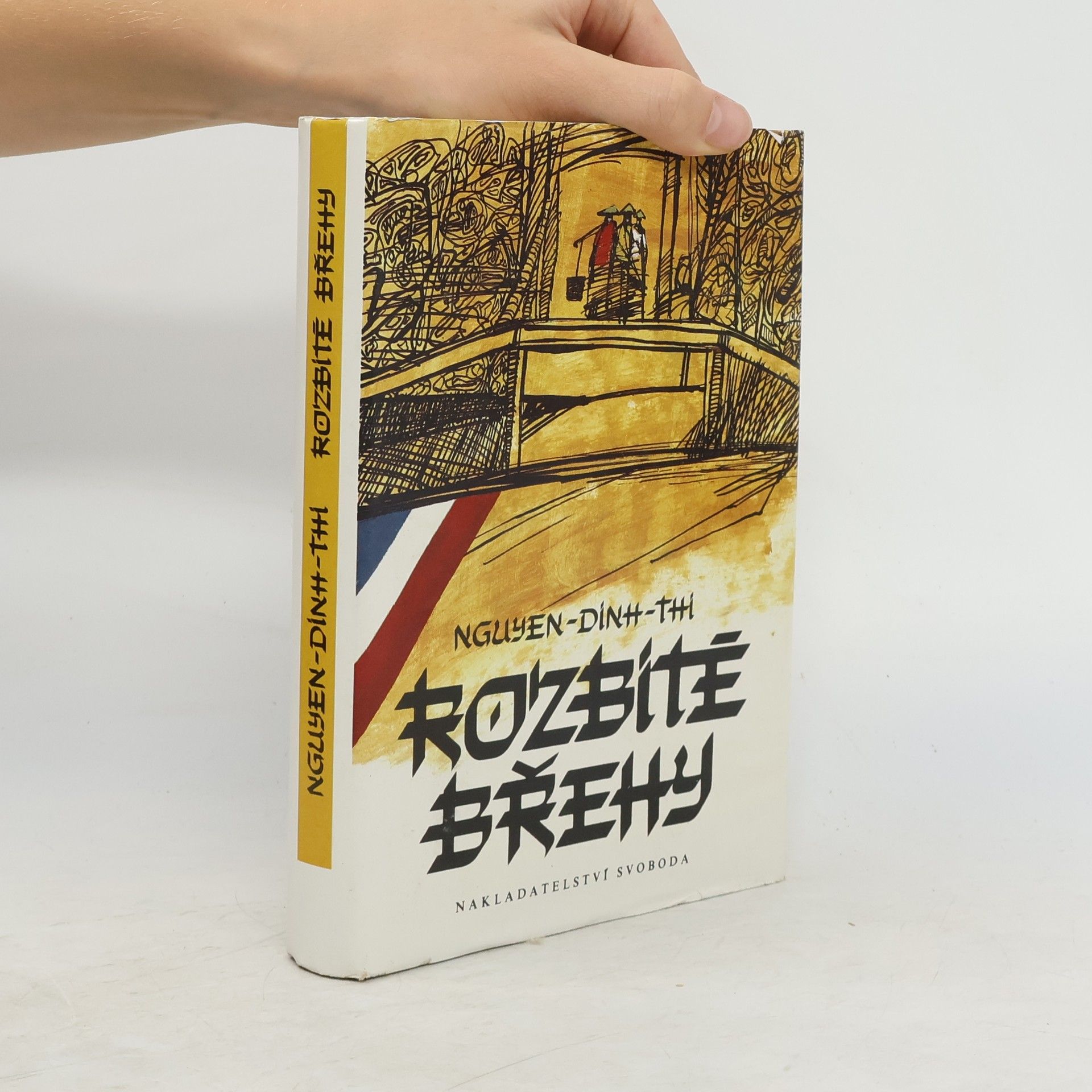 Đình Thi Nguyễn Rozbité břehy
