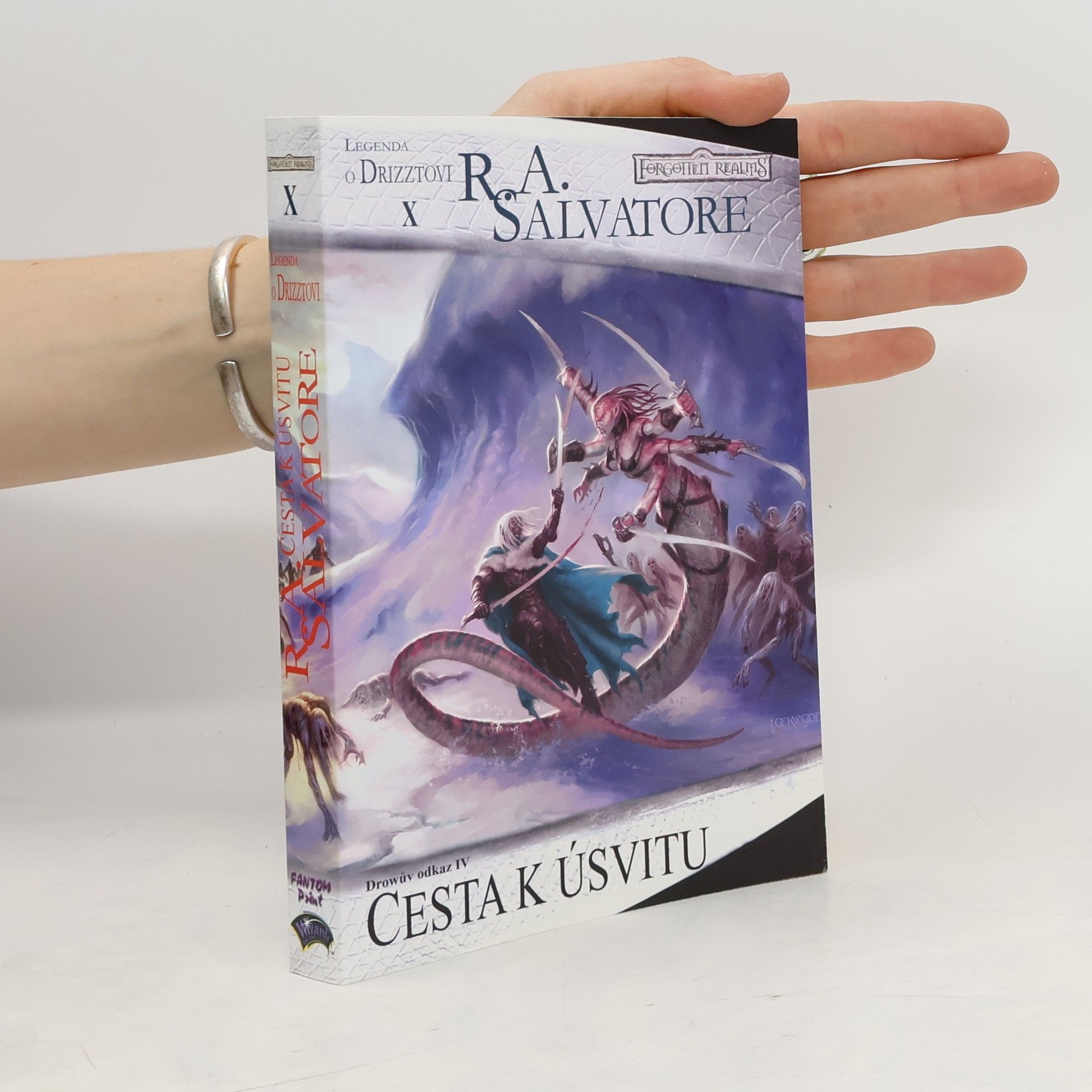 R. A. Salvatore Drowův odkaz IV. Cesta k úsvitu