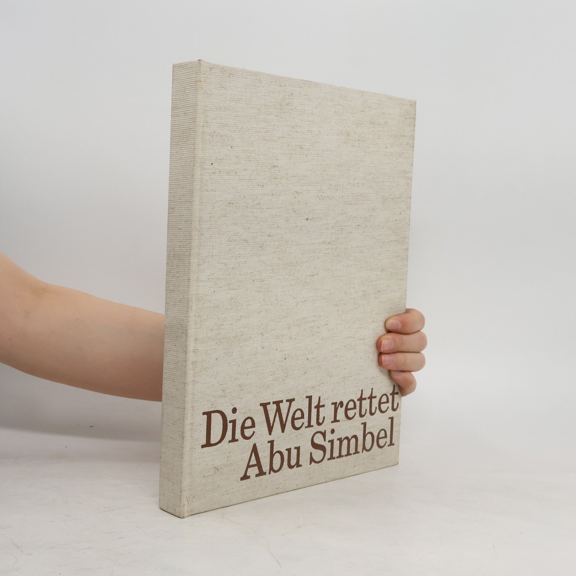 Georg Gerster Die Welt rettet Abu Simbel