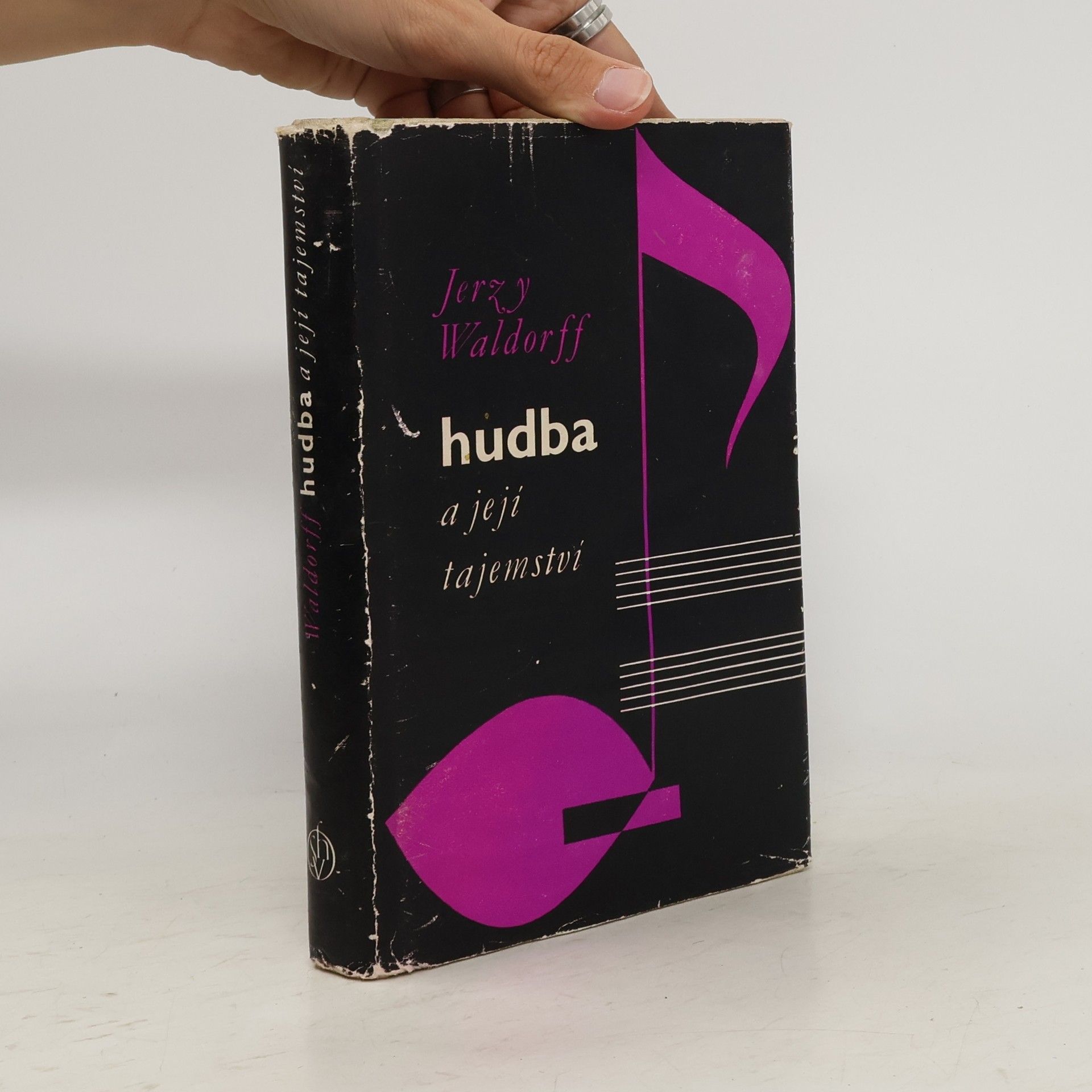 Jerzy Waldorff Hudba a její tajemství