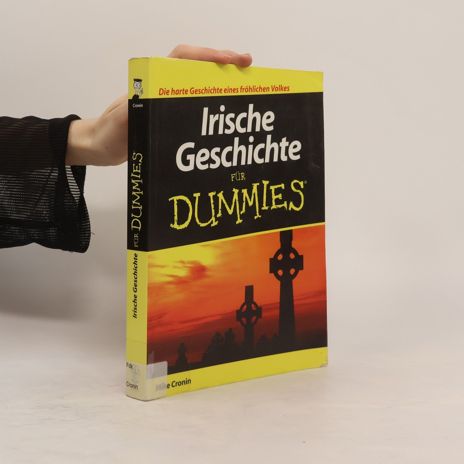 Mike Cronin Irische Geschichte für Dummies