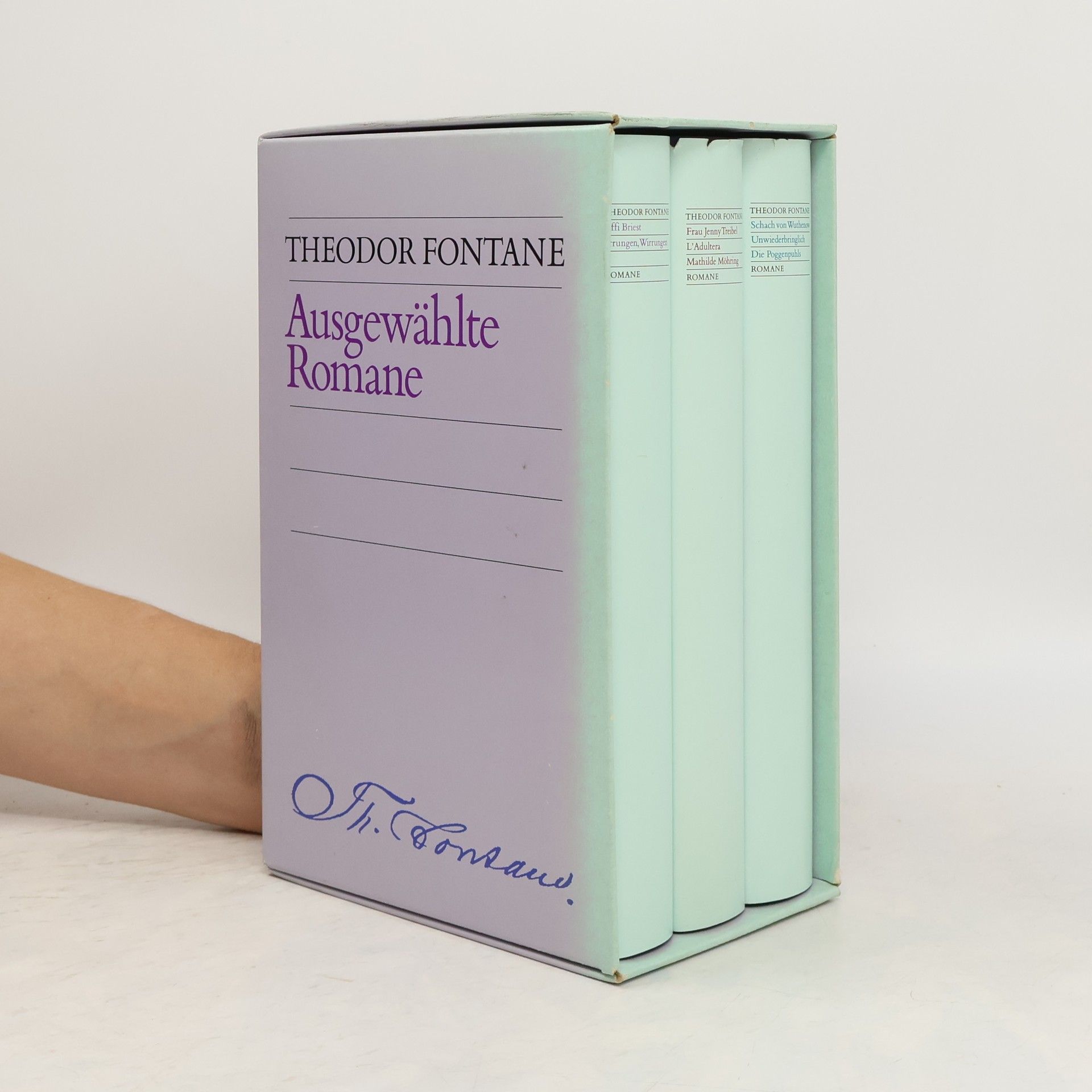 Theodor Fontane Ausgewahlte Romane