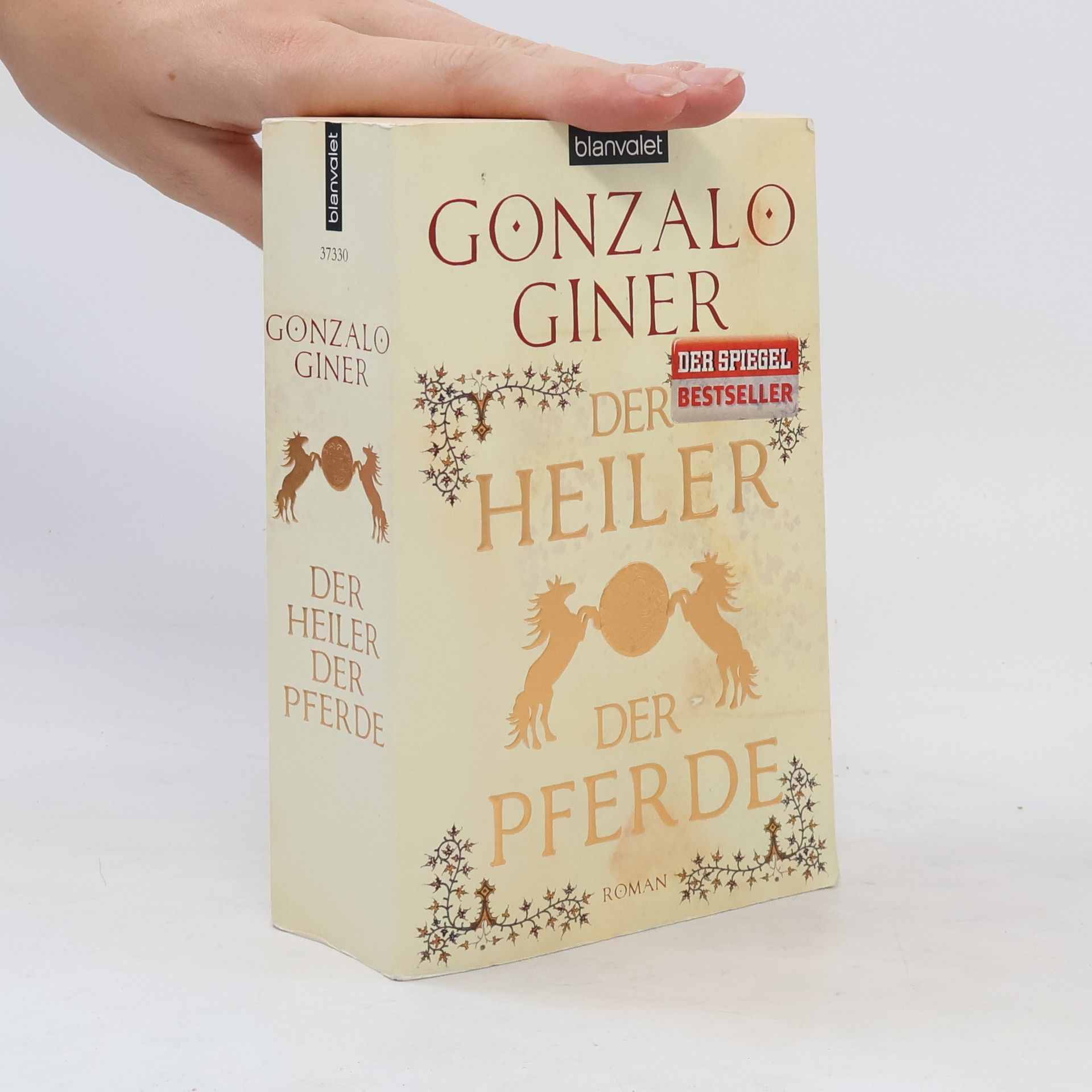 Gonzalo Giner Der Heiler der Pferde
