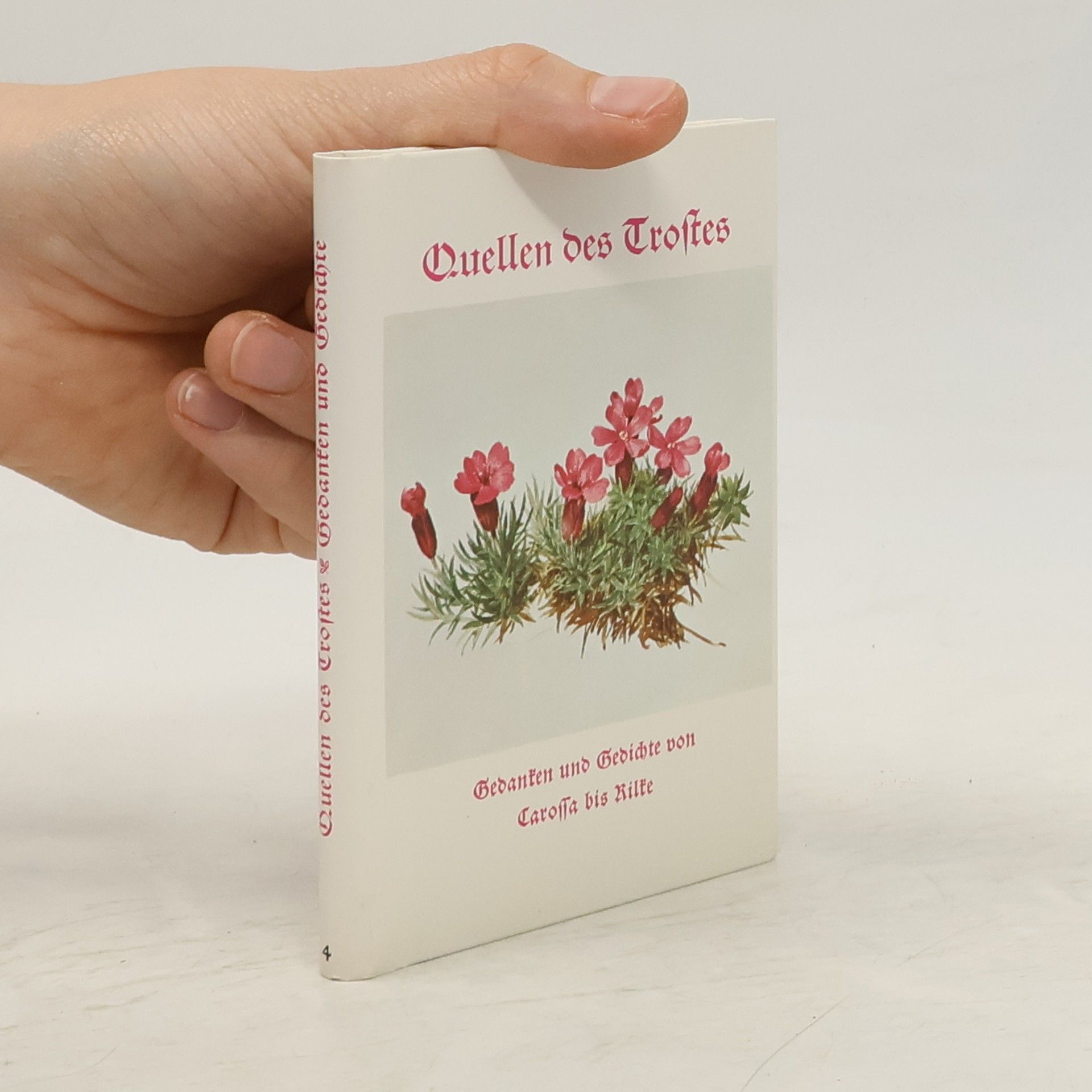 E. Hettinger Quellen des Trostes