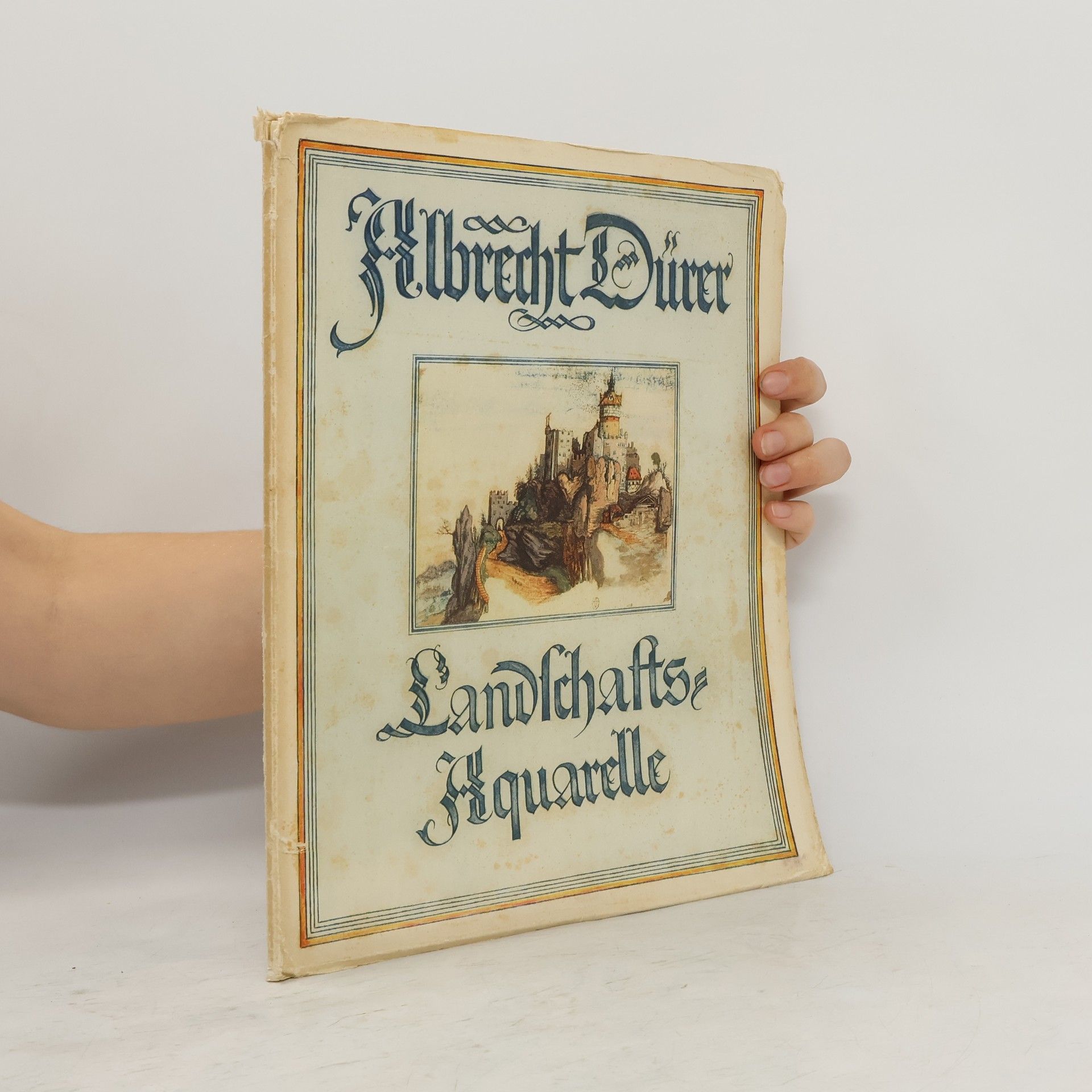 Albrecht Dürer Landschafts Aquarelle