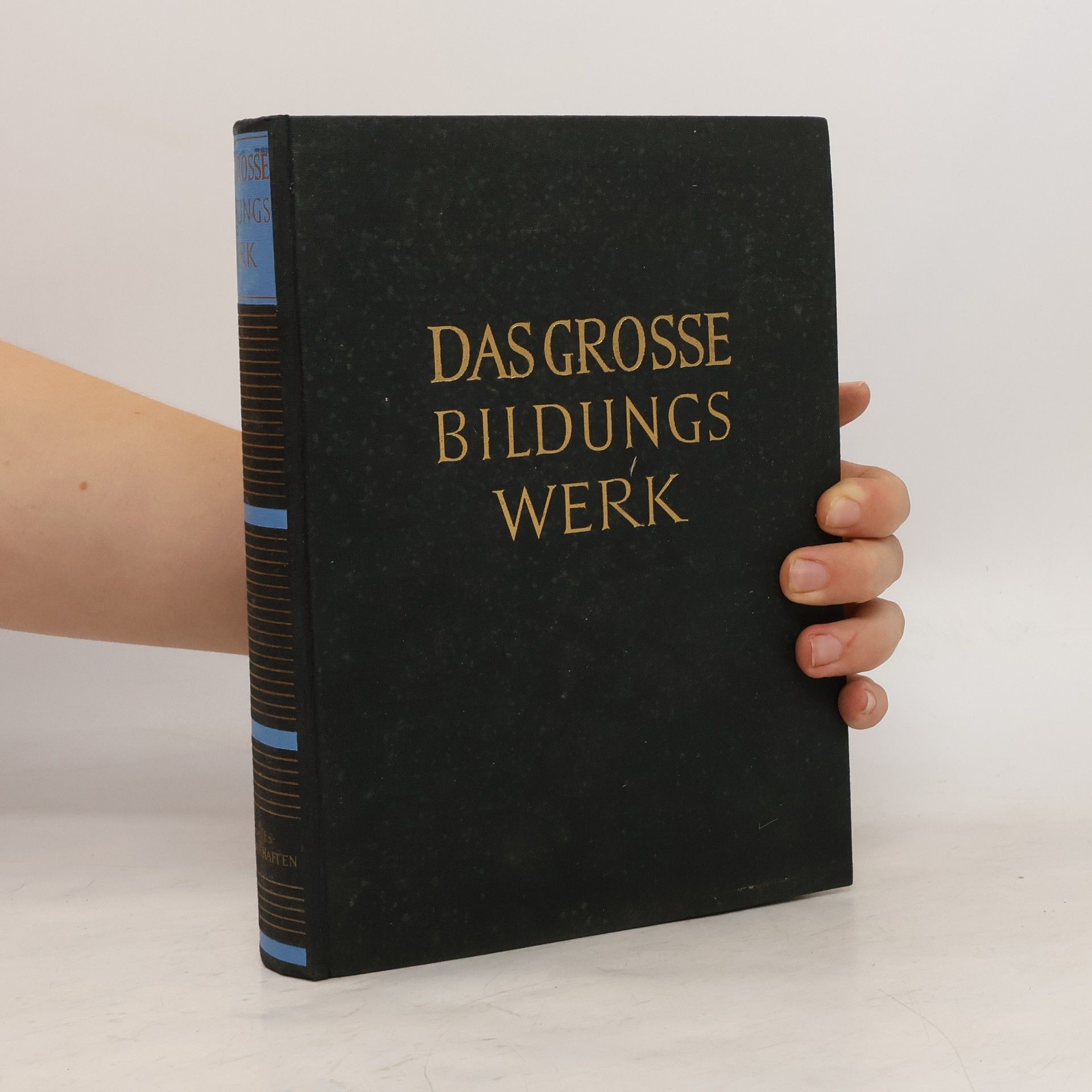 Theodor Richter Das grosse Bildungswerk