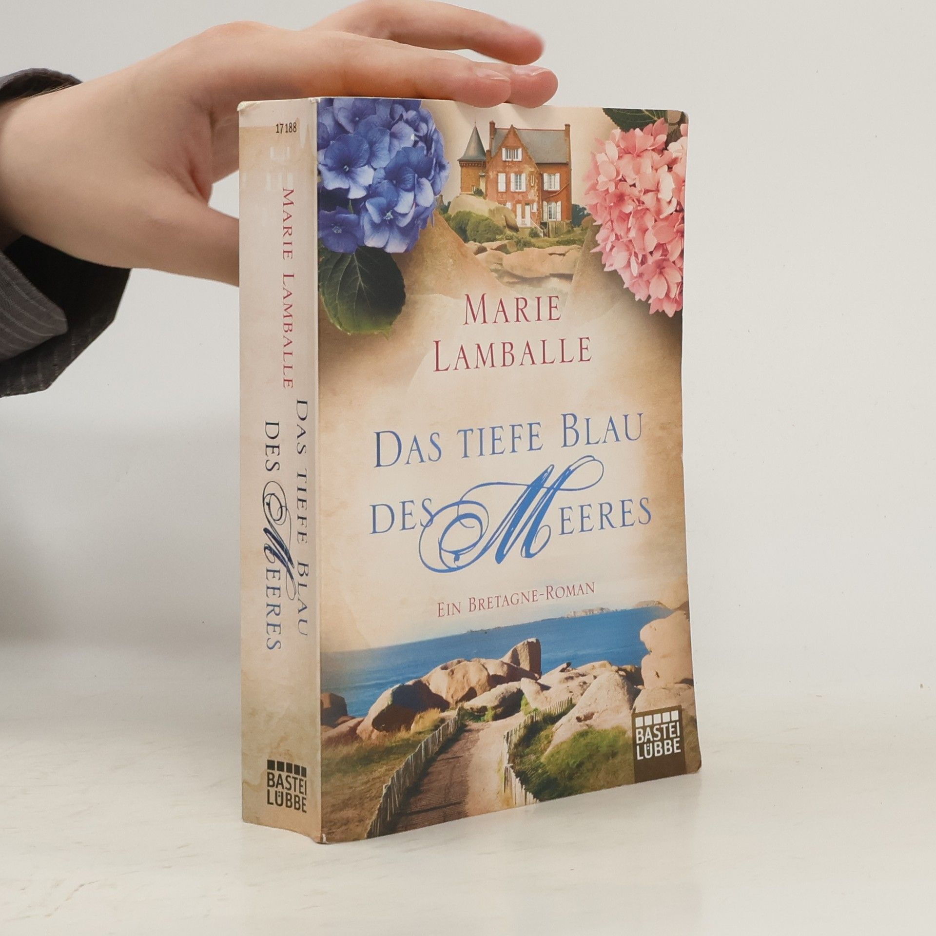 Anne Jacobs Das tiefe Blau des Meeres