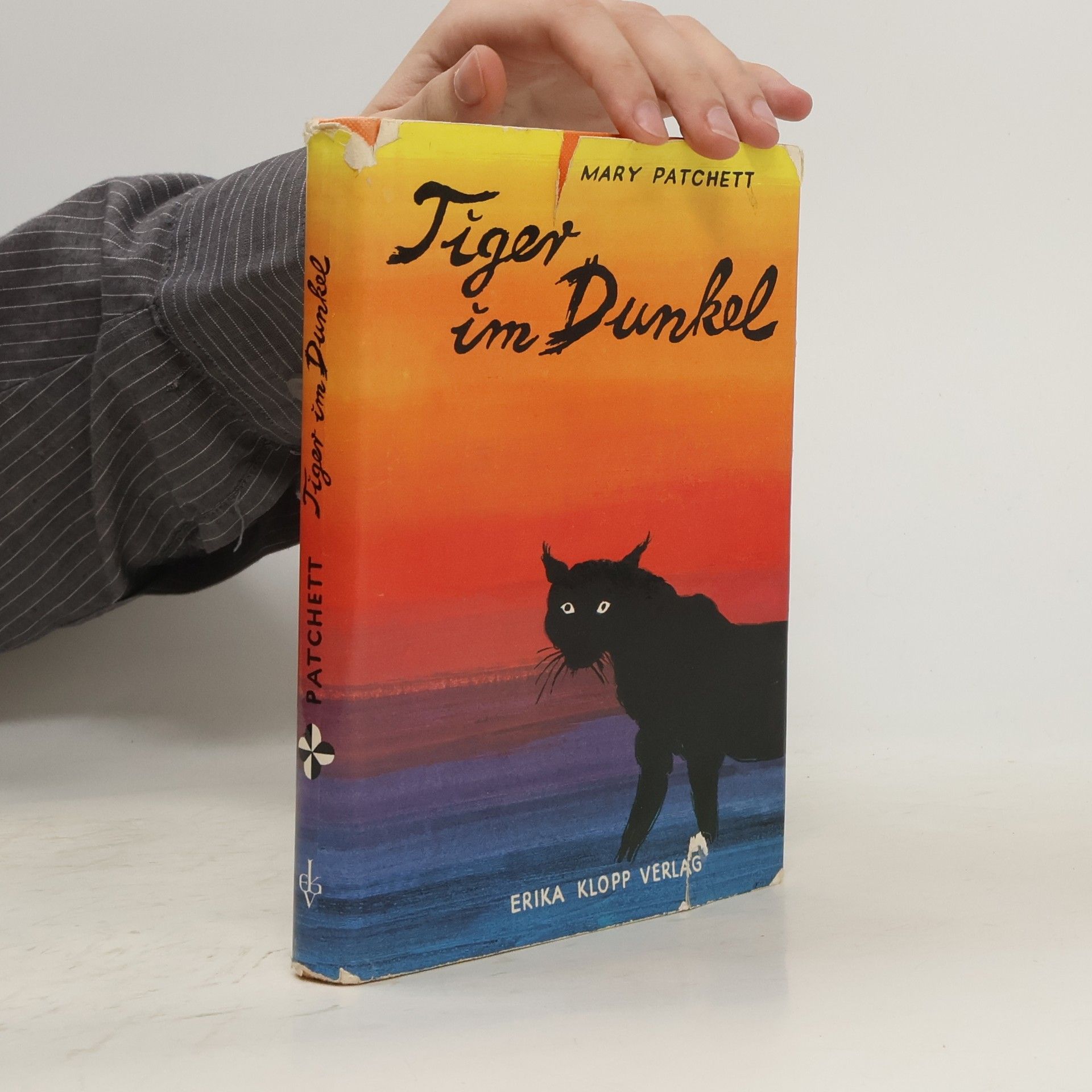 Mary Elwyn Patchett Tiger im Dunkel