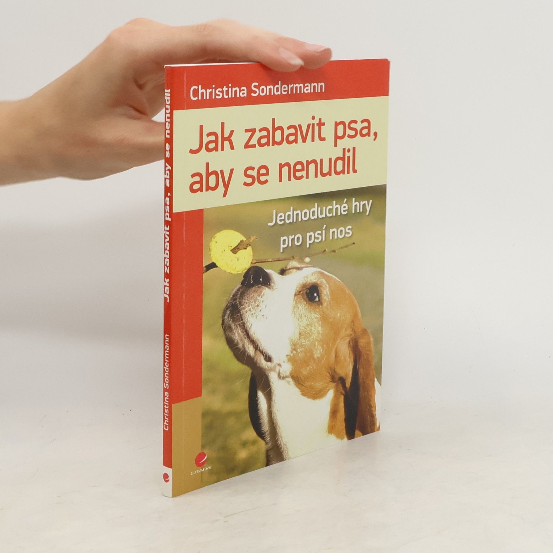 Christina Sondermann Jak zabavit psa, aby se nenudil : jednoduché hry pro psí nos
