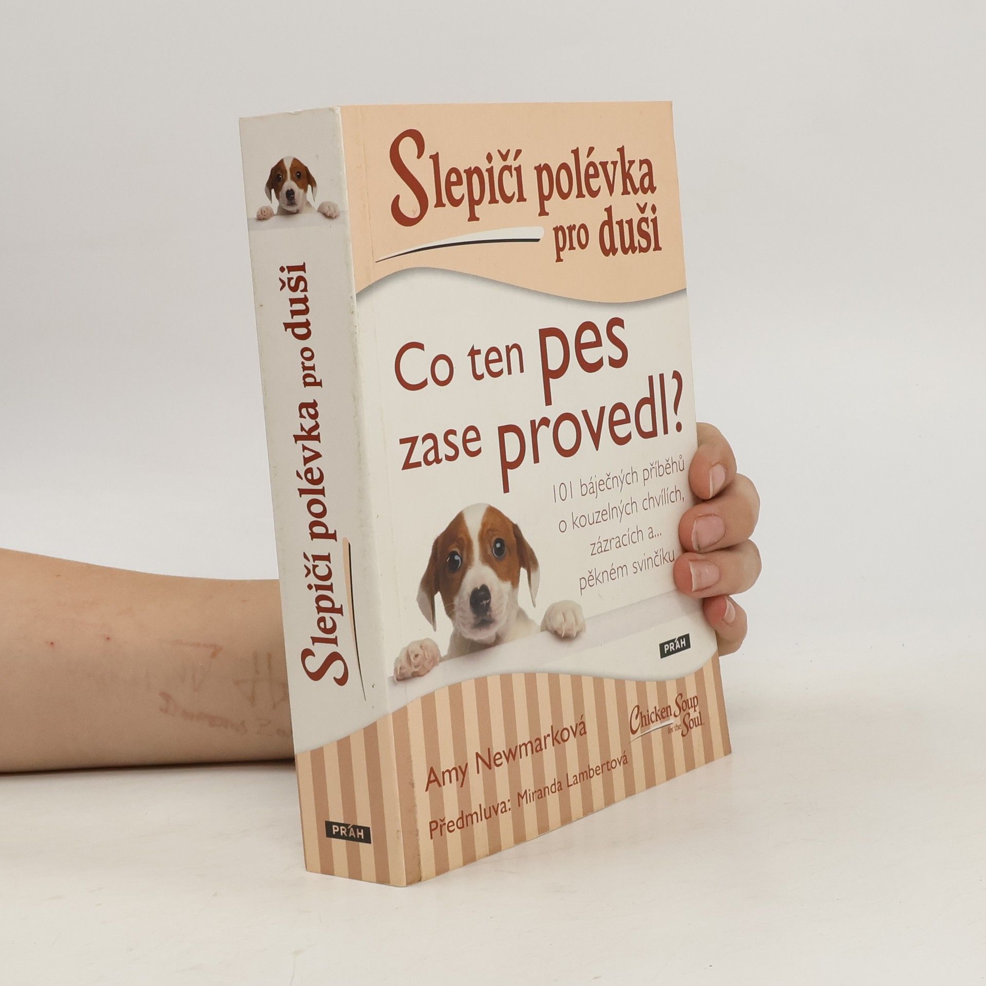 Amy Newmark Slepičí polévka pro duši. Co ten pes zase provedl?