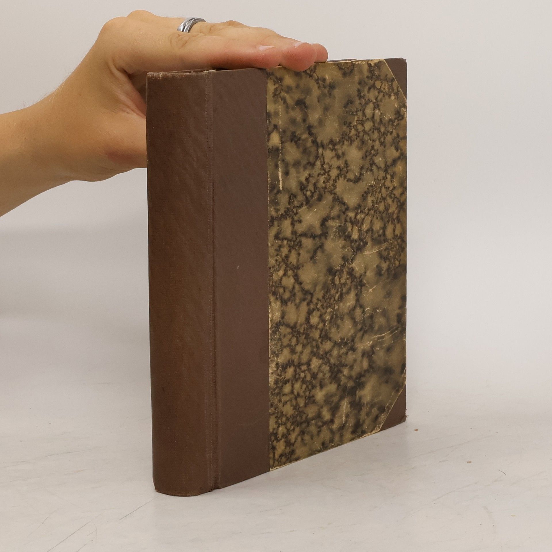 Kolektív autorov Pouť českých umělcův