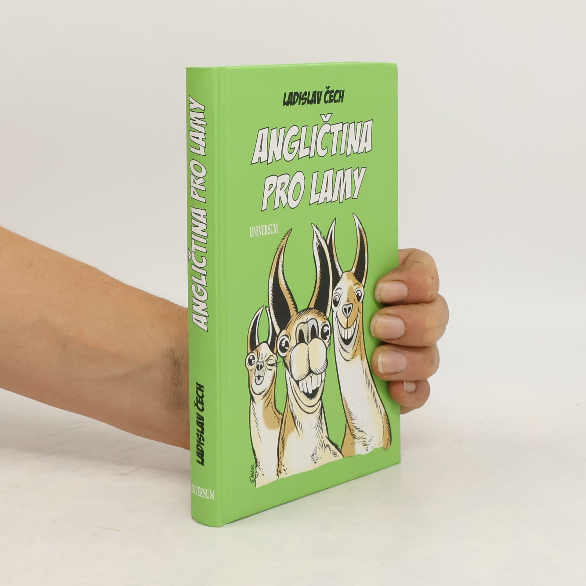 Ladislav Čech Angličtina pro lamy