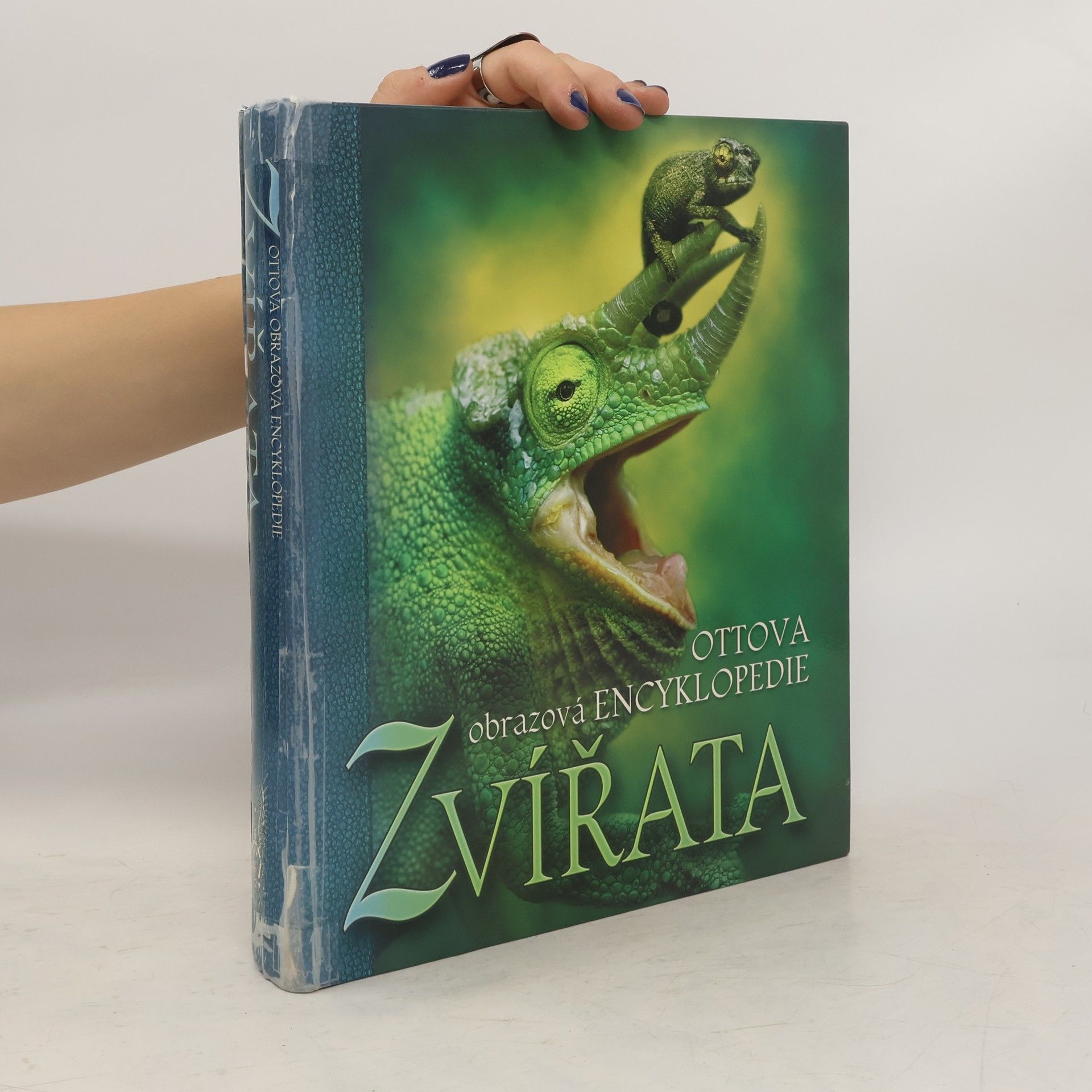 Romana Anděrová Zvířata. Ottova obrazová encyklopedie