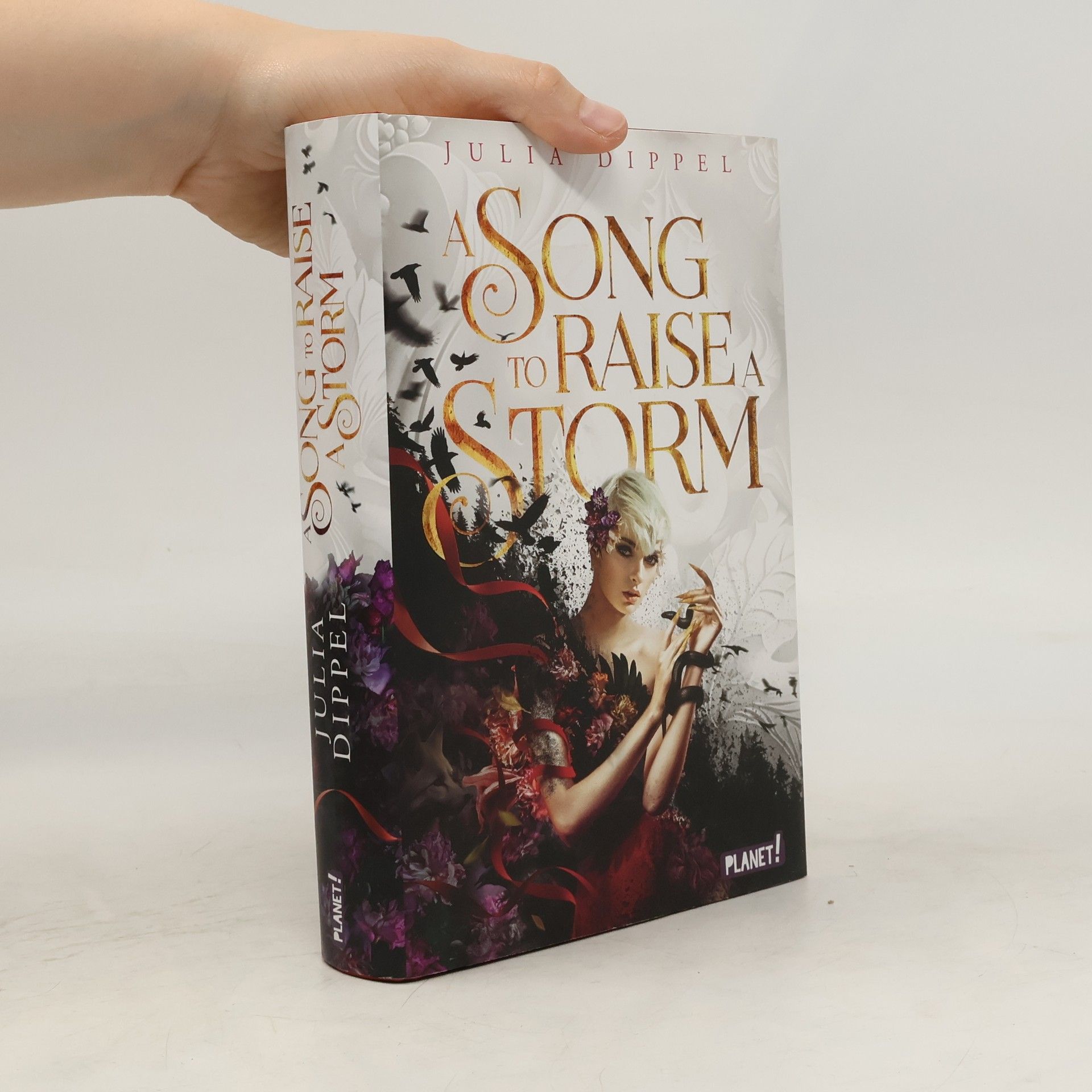 Julia Dippel Die Sonnenfeuer-Ballade 1: A Song to Raise a Storm