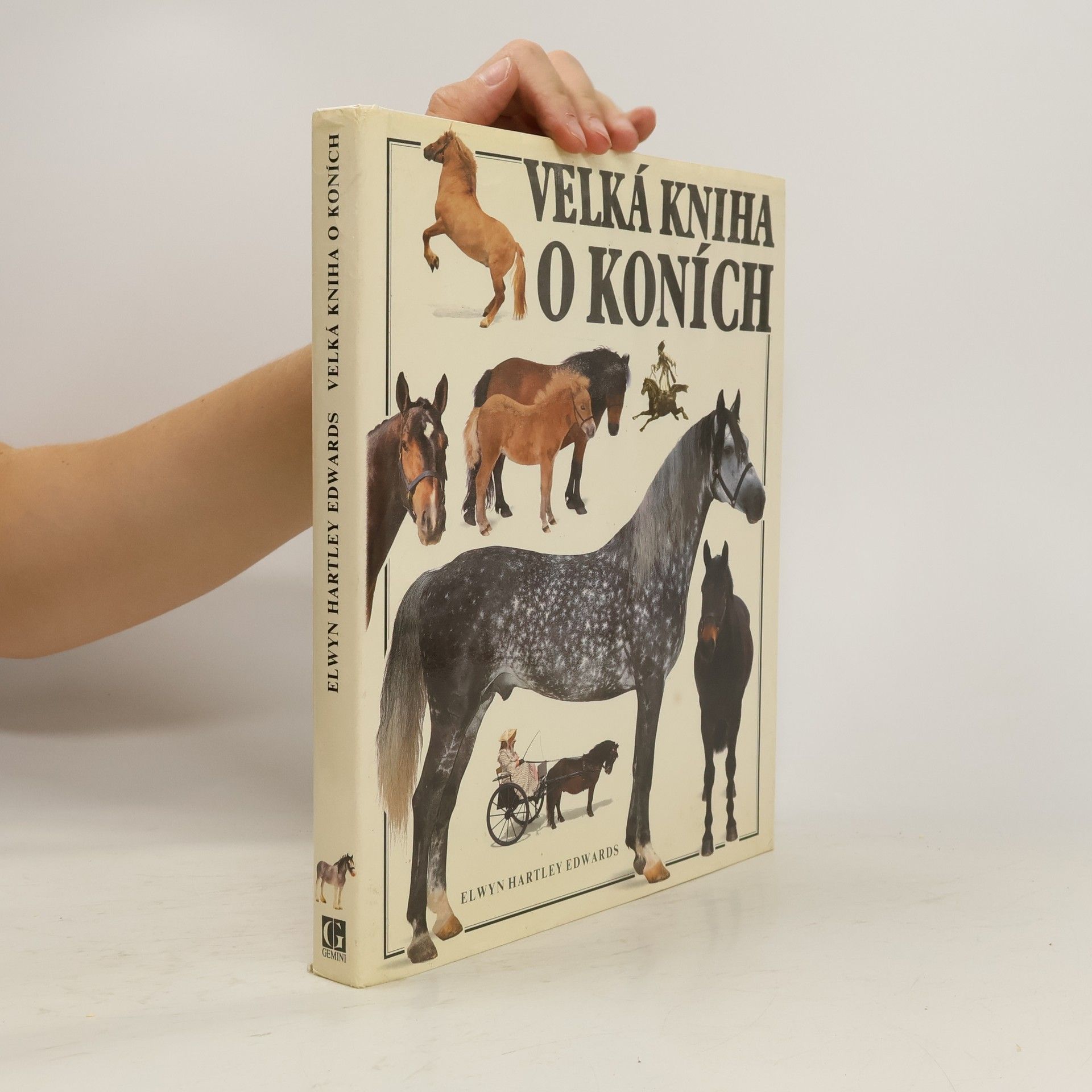 Elwyn Hartley Edwards Velká kniha o koních