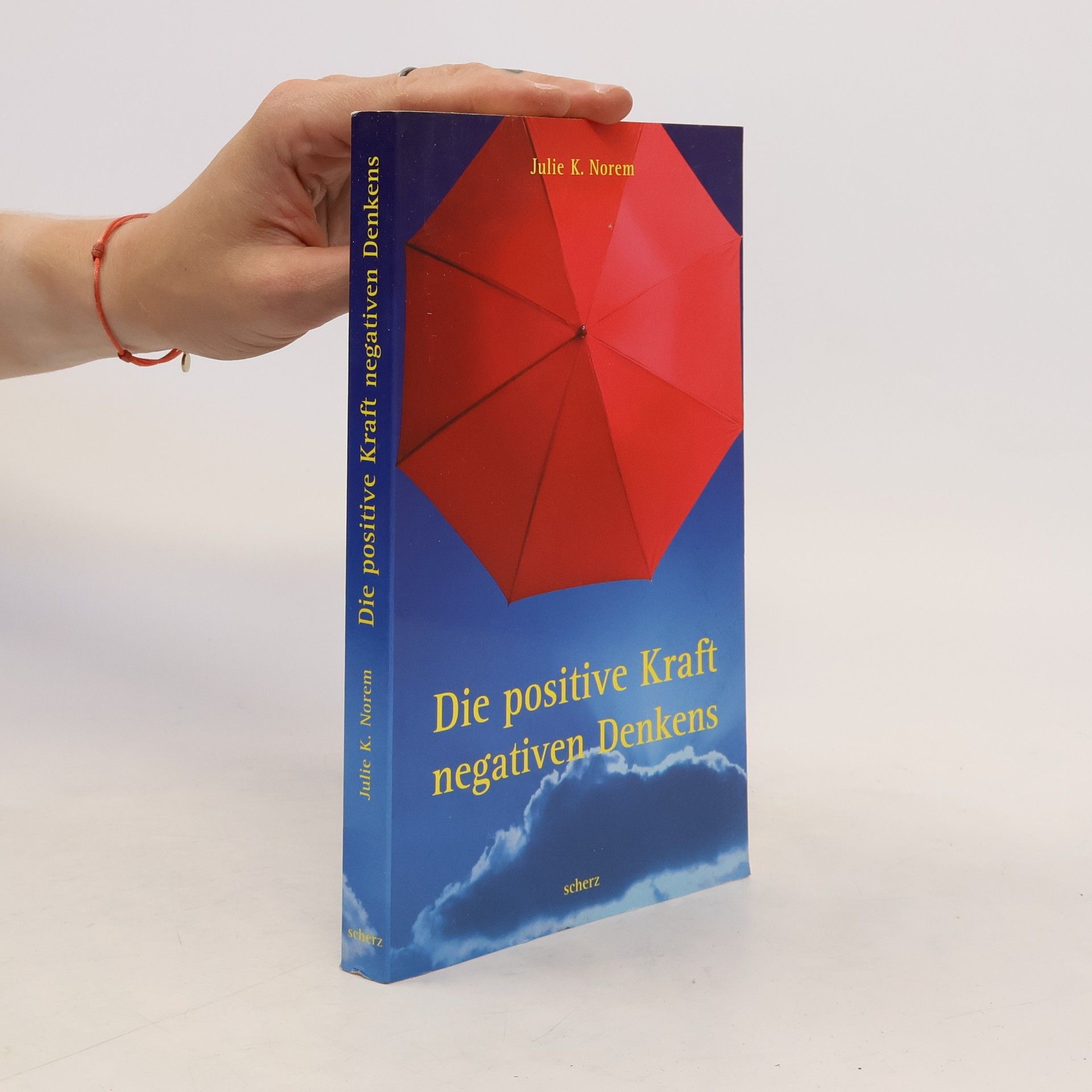 Julie K. Norem Die positive Kraft negativen Denkens