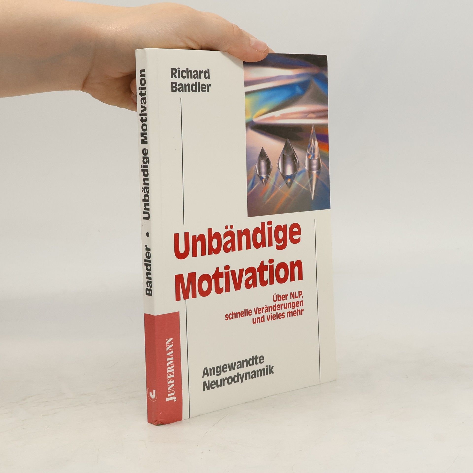 Richard Wayne Bandler Unbändige Motivation