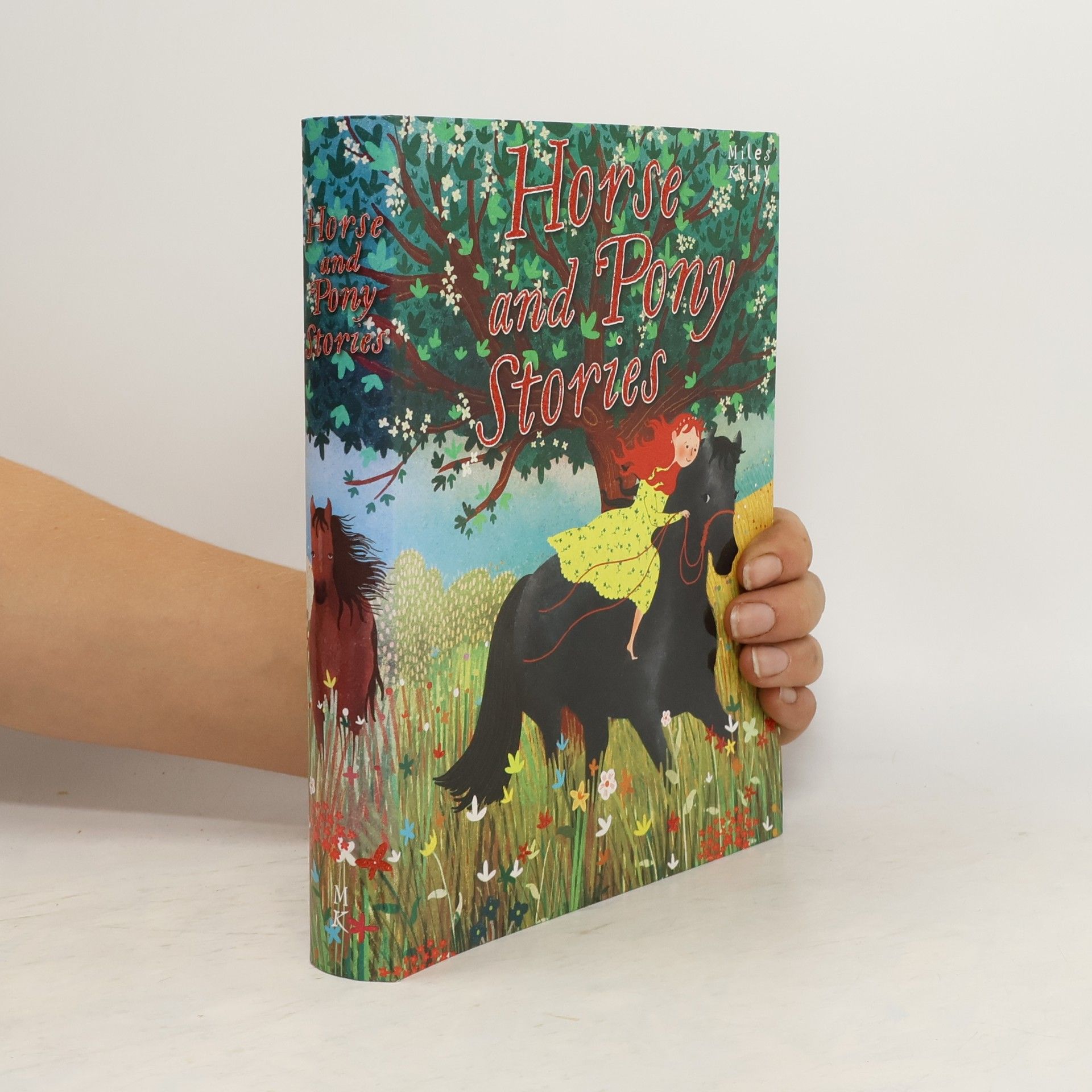 Kolektiv autorů Horse and Pony Stories