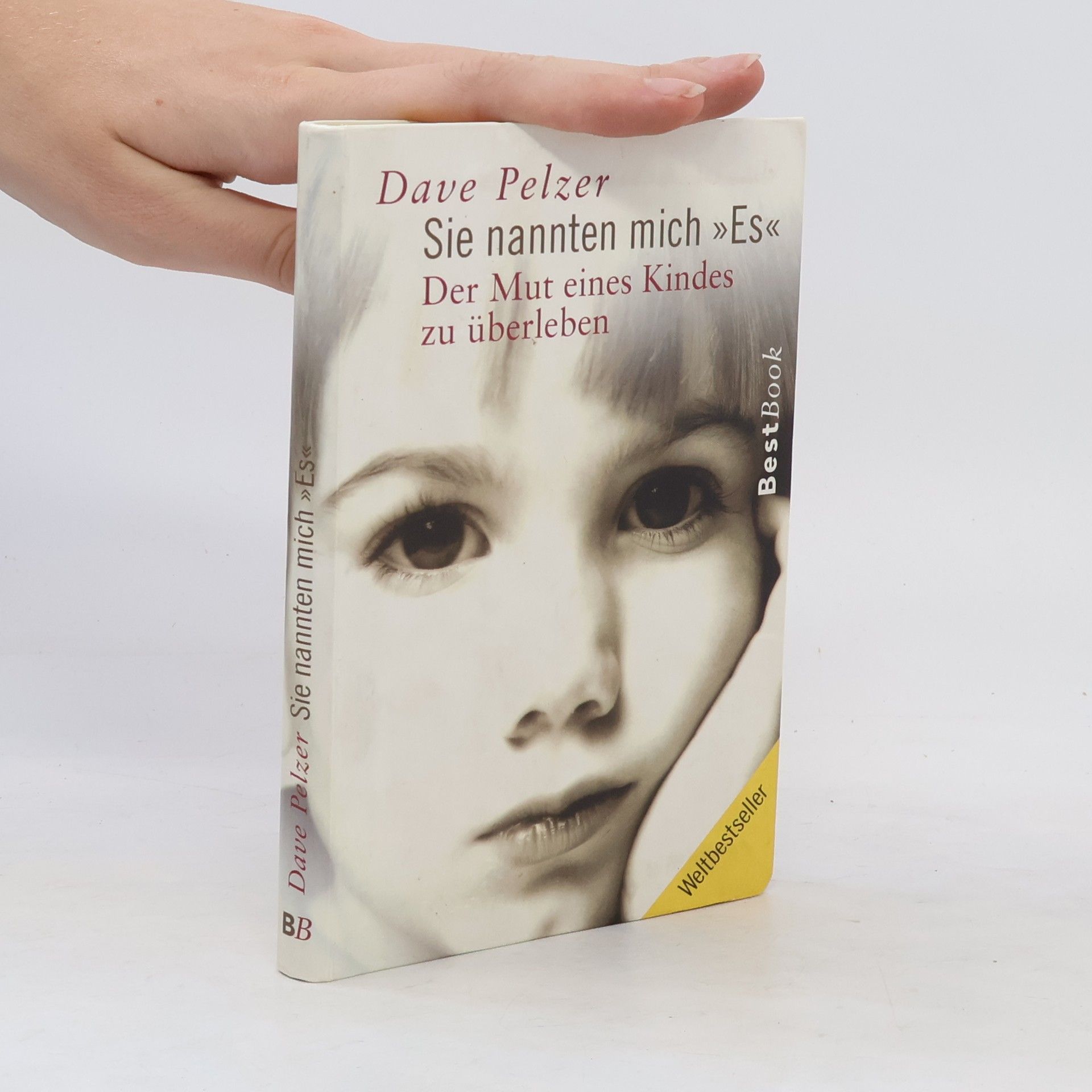 Dave Pelzer Sie nannten mich "Es"