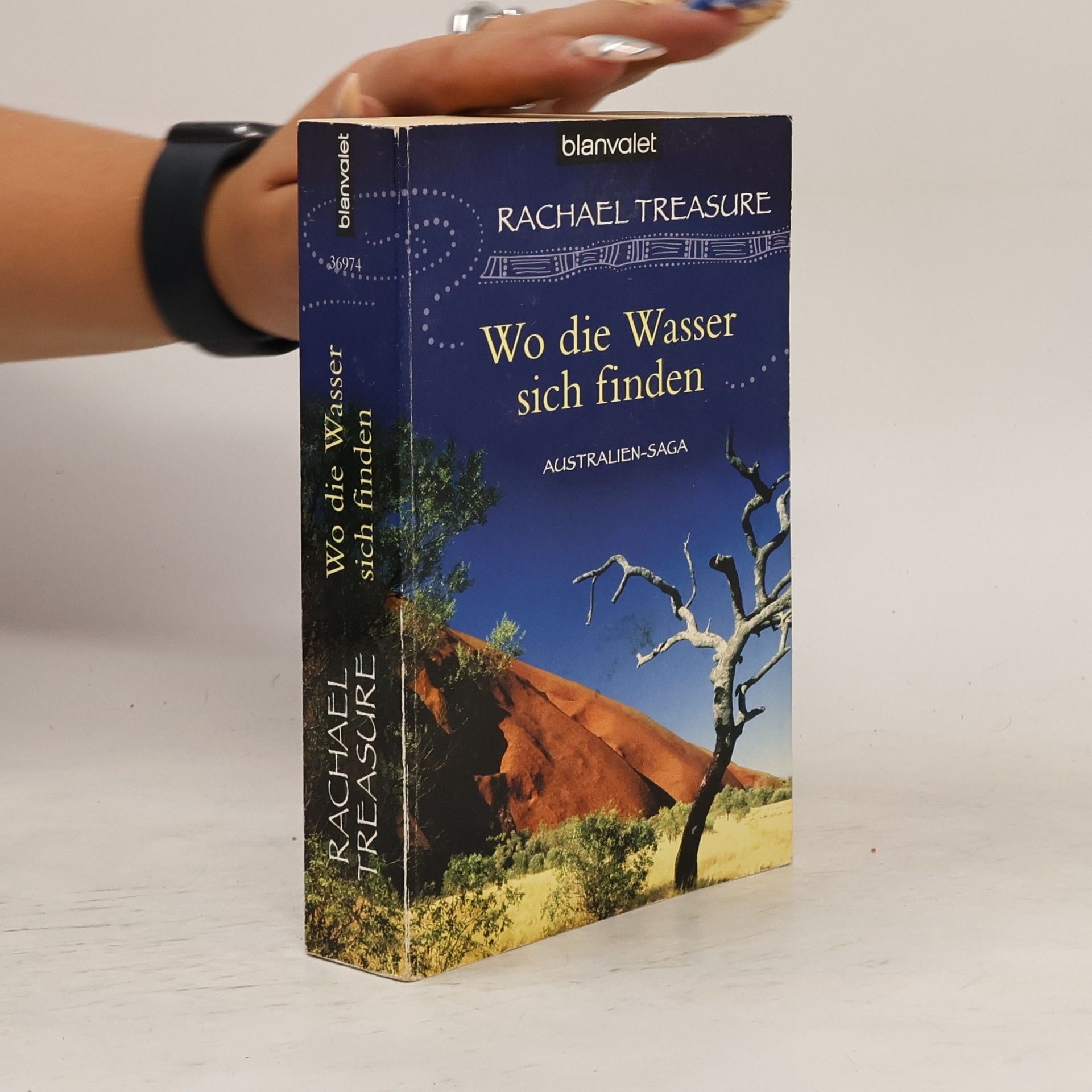 Rachael Treasure Wo die Wasser sich finden