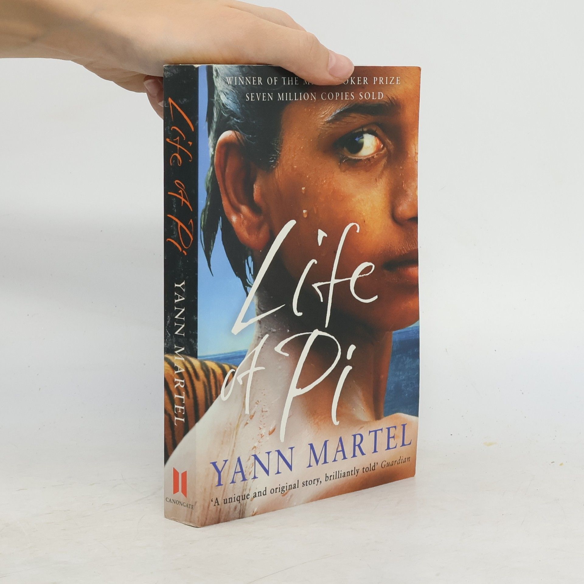 Yann Martel Life of Pi