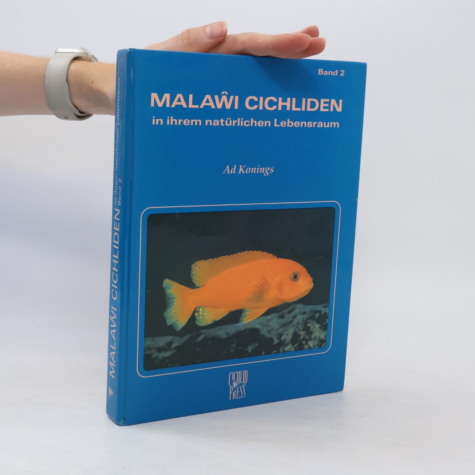 Autorenkollektiv Malaŵi-Cichliden in ihrem natürlichen Lebensraum