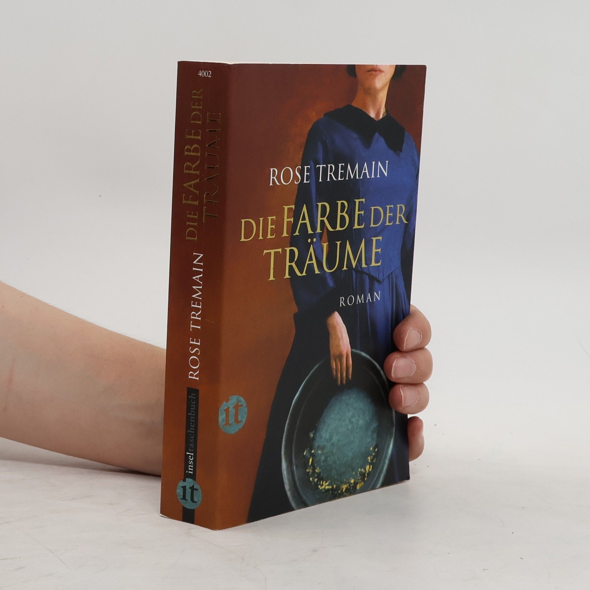 Rose Tremain Die Farbe der Träume