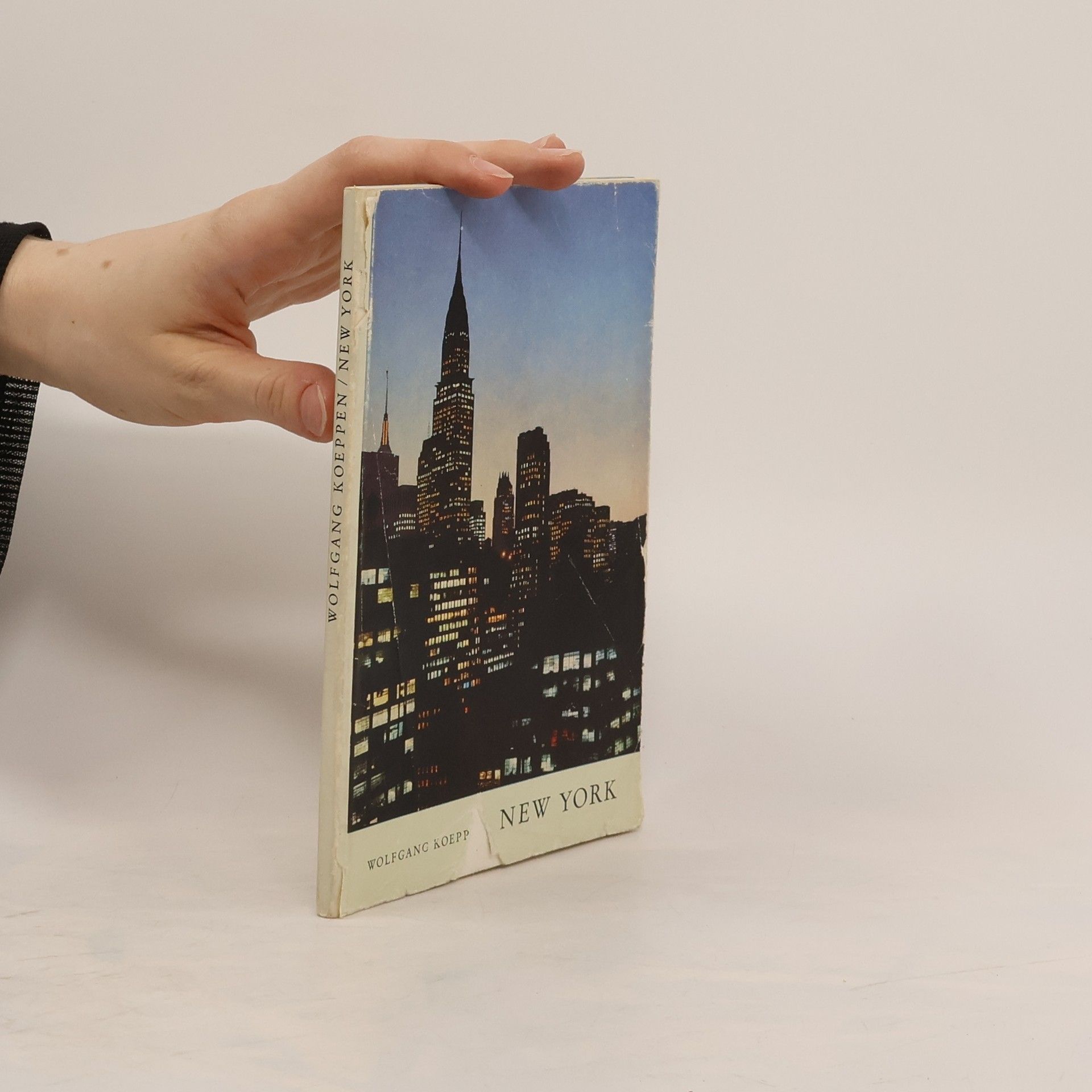 Wolfgang Koeppen New York