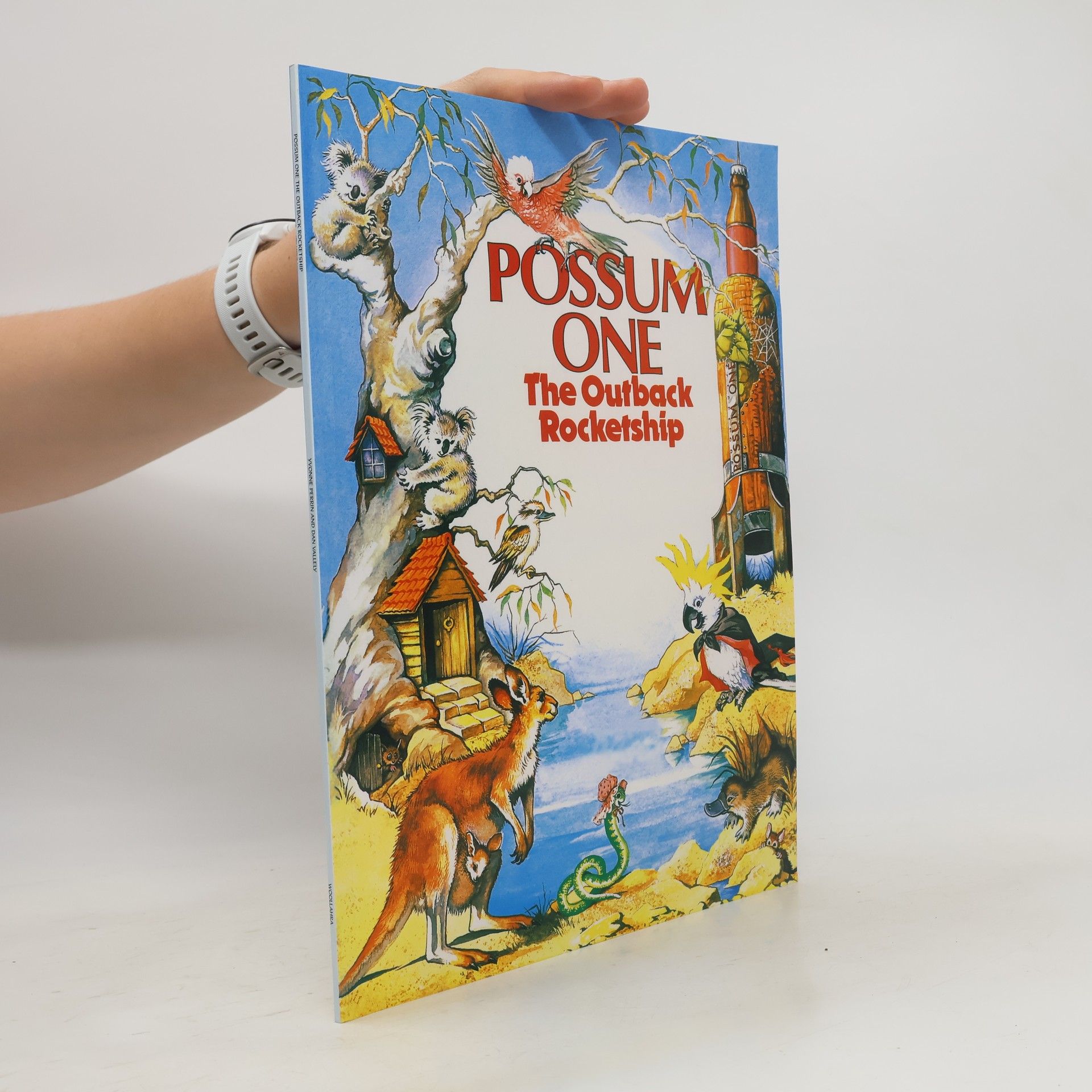 Possum One the Outback Rocketship