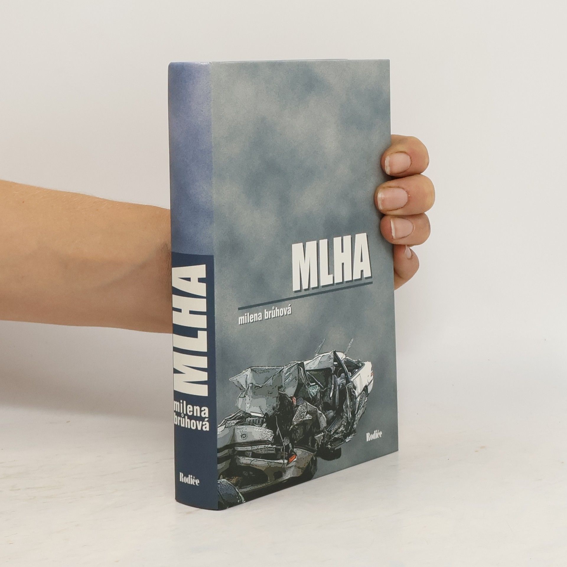 Milena Brůhová Mlha
