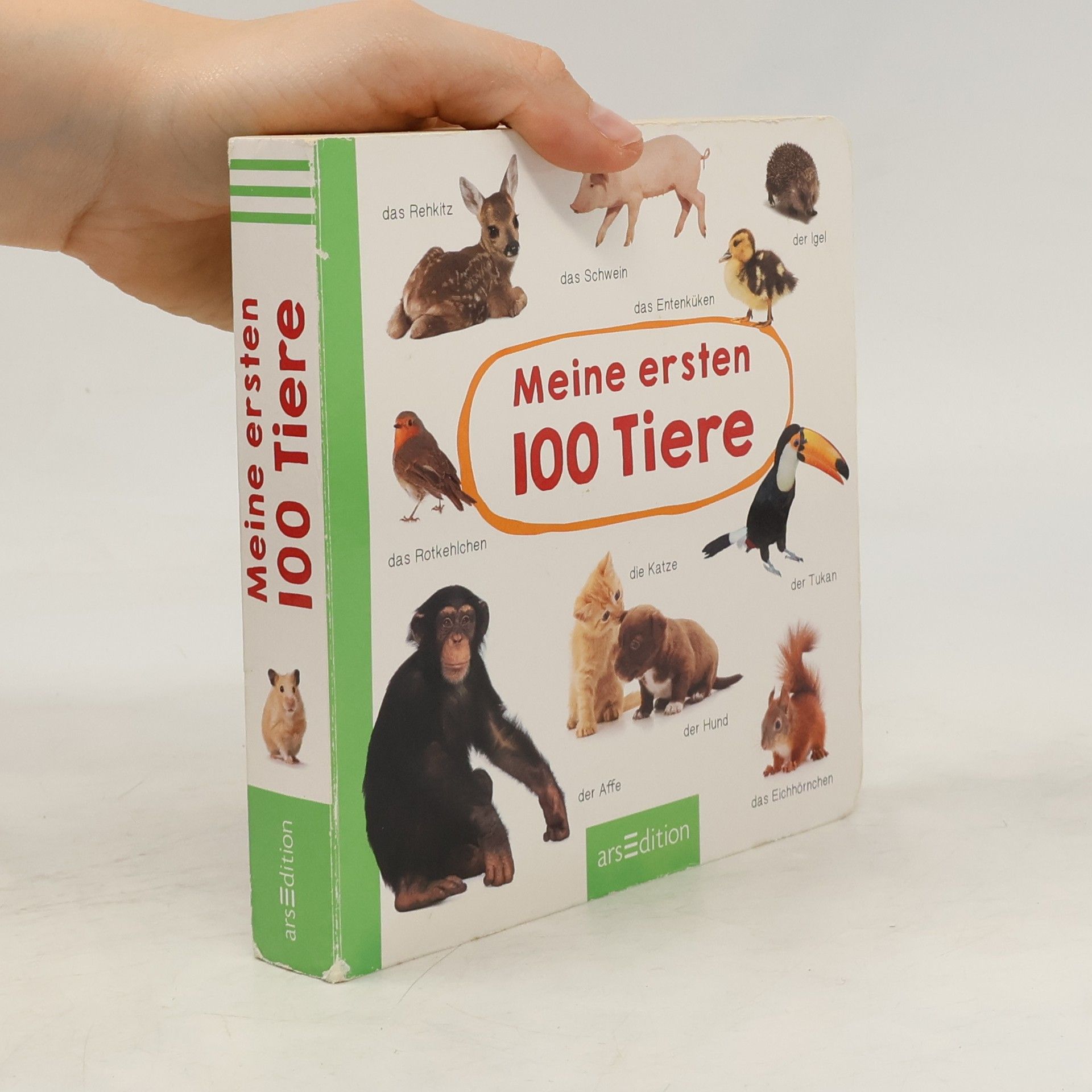 Autorenkollektiv Meine ersten 100 Tiere