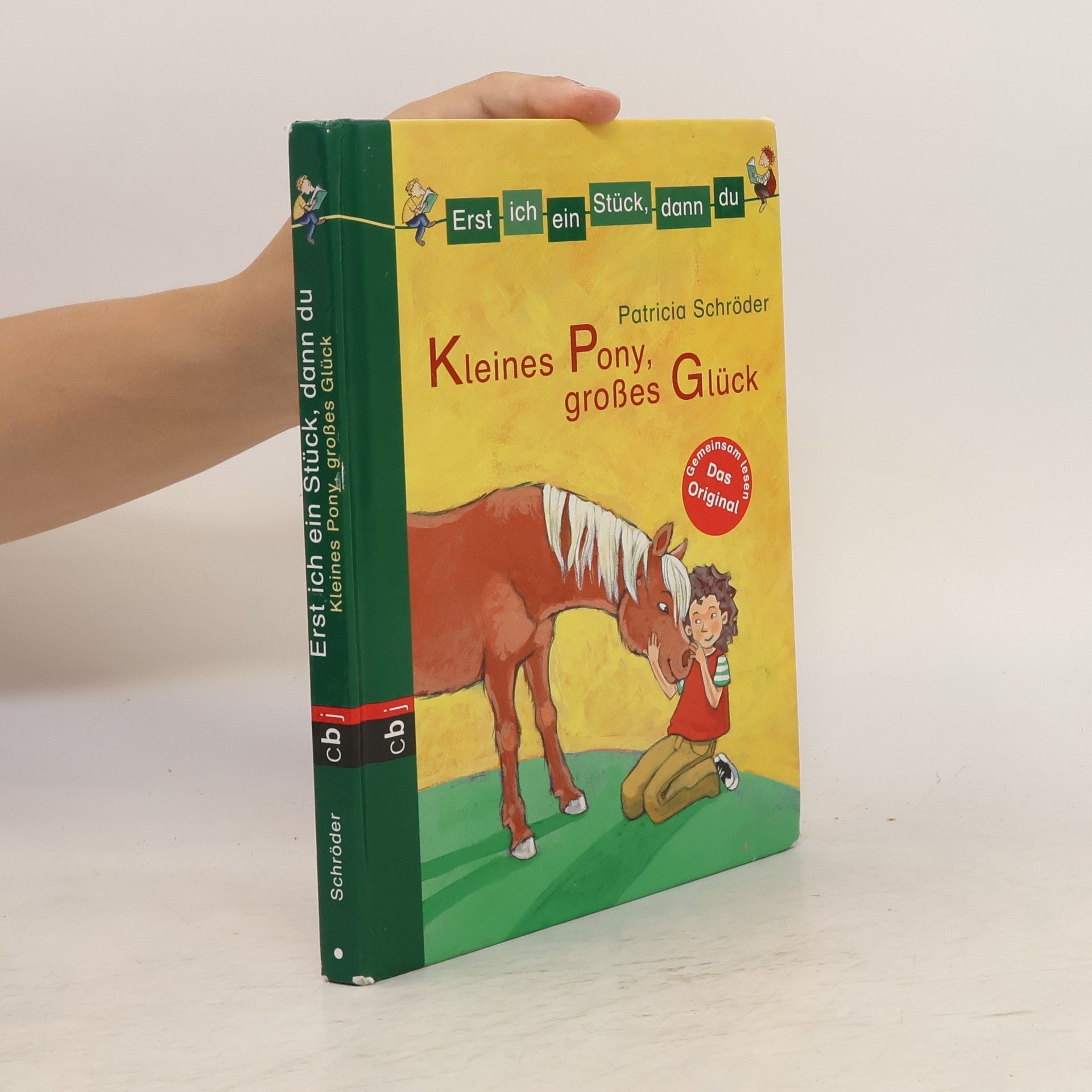 Patricia Schröder Kleines Pony, großes Glück