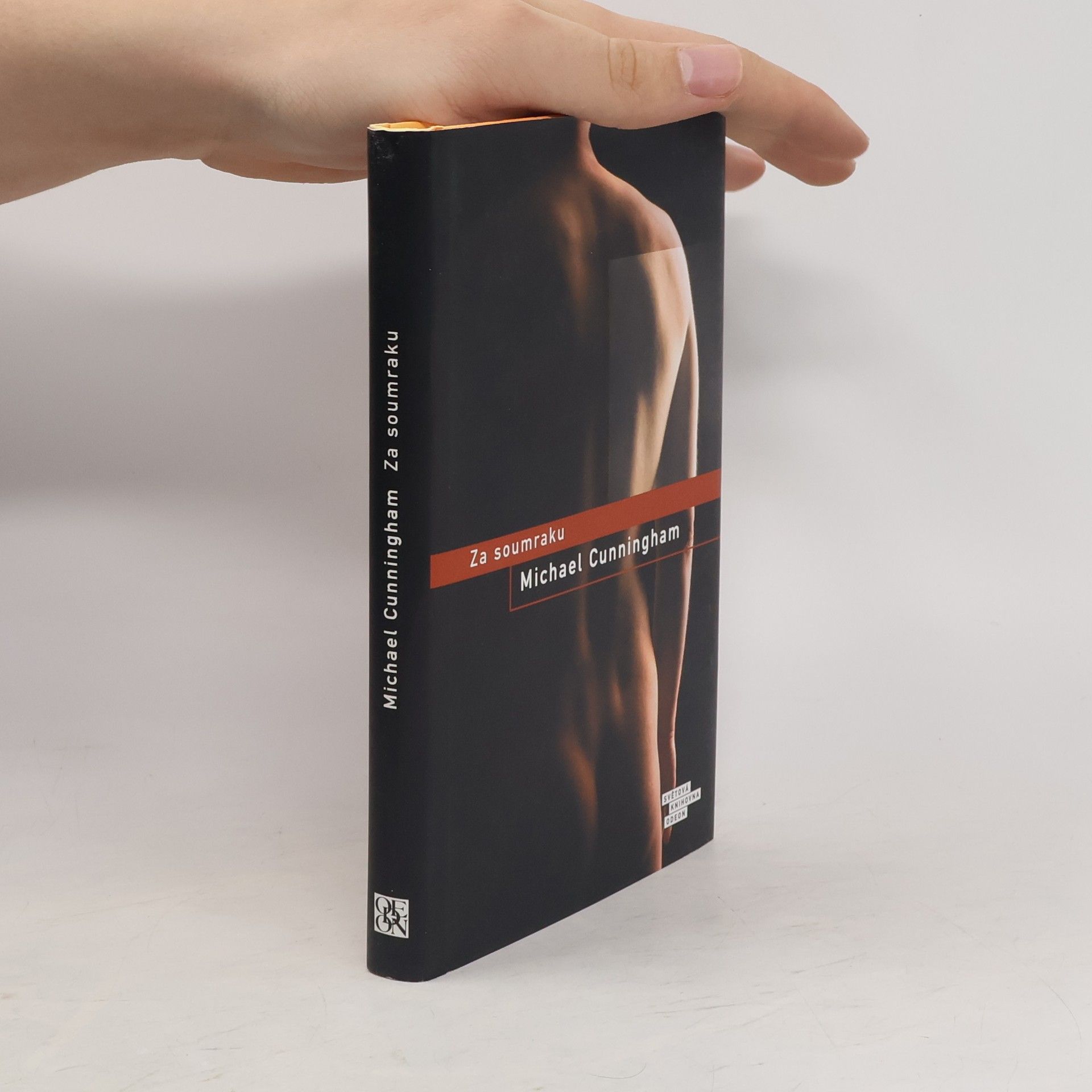 Michael Cunningham Za soumraku