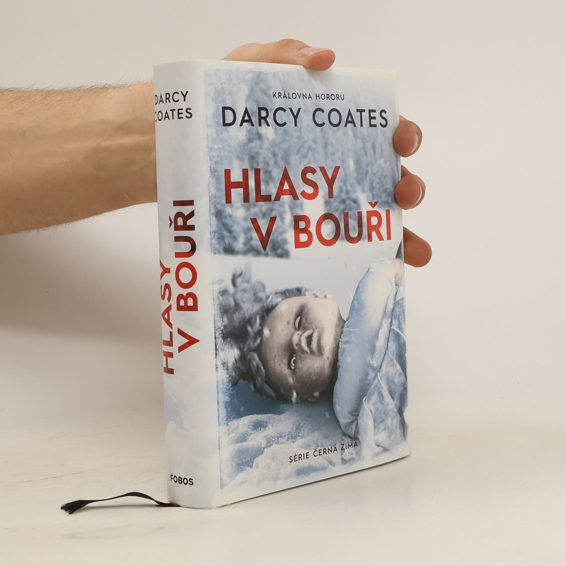 Darcy Coates Hlasy v bouři