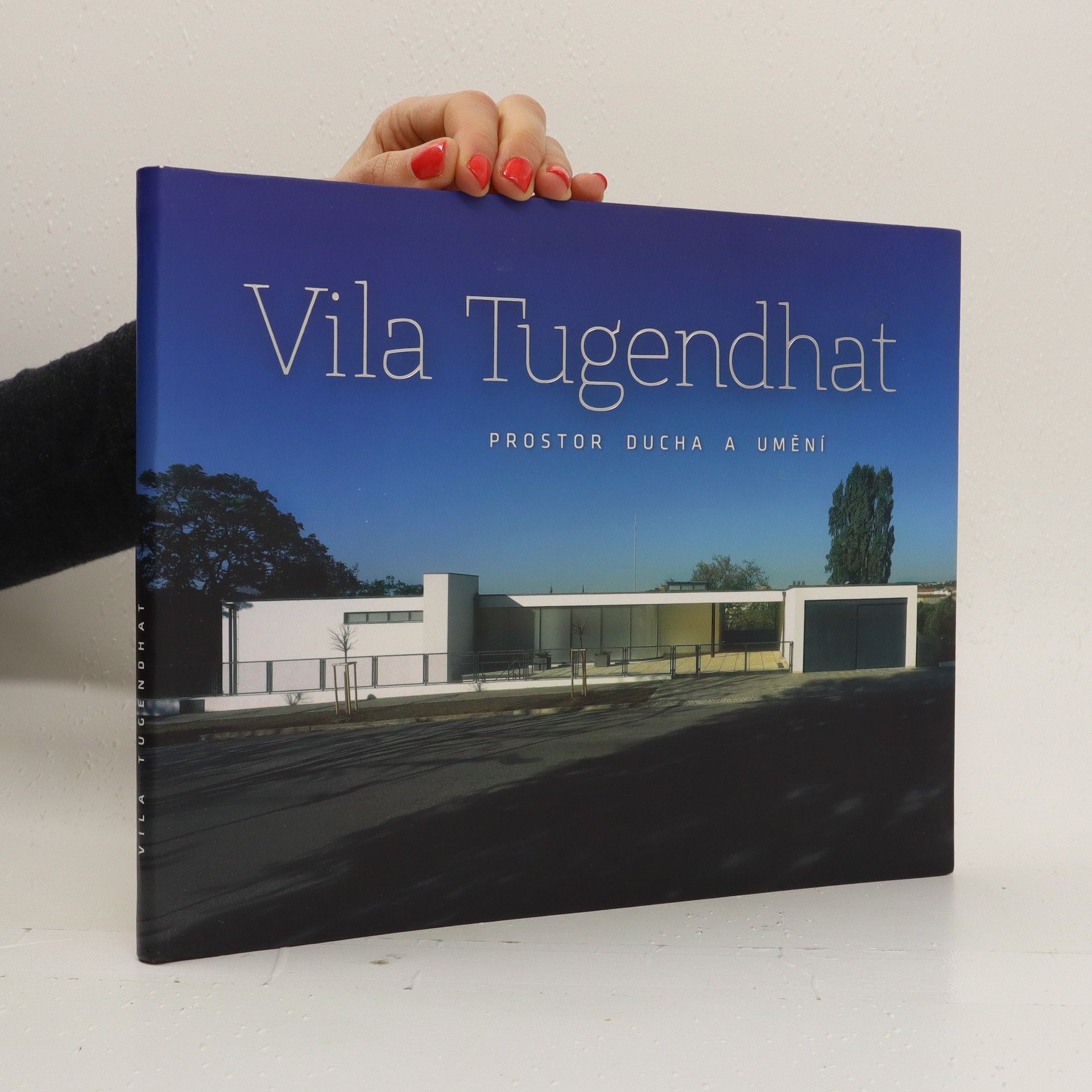 Jan Sedlák Vila Tugendhat - Prostor ducha a umění