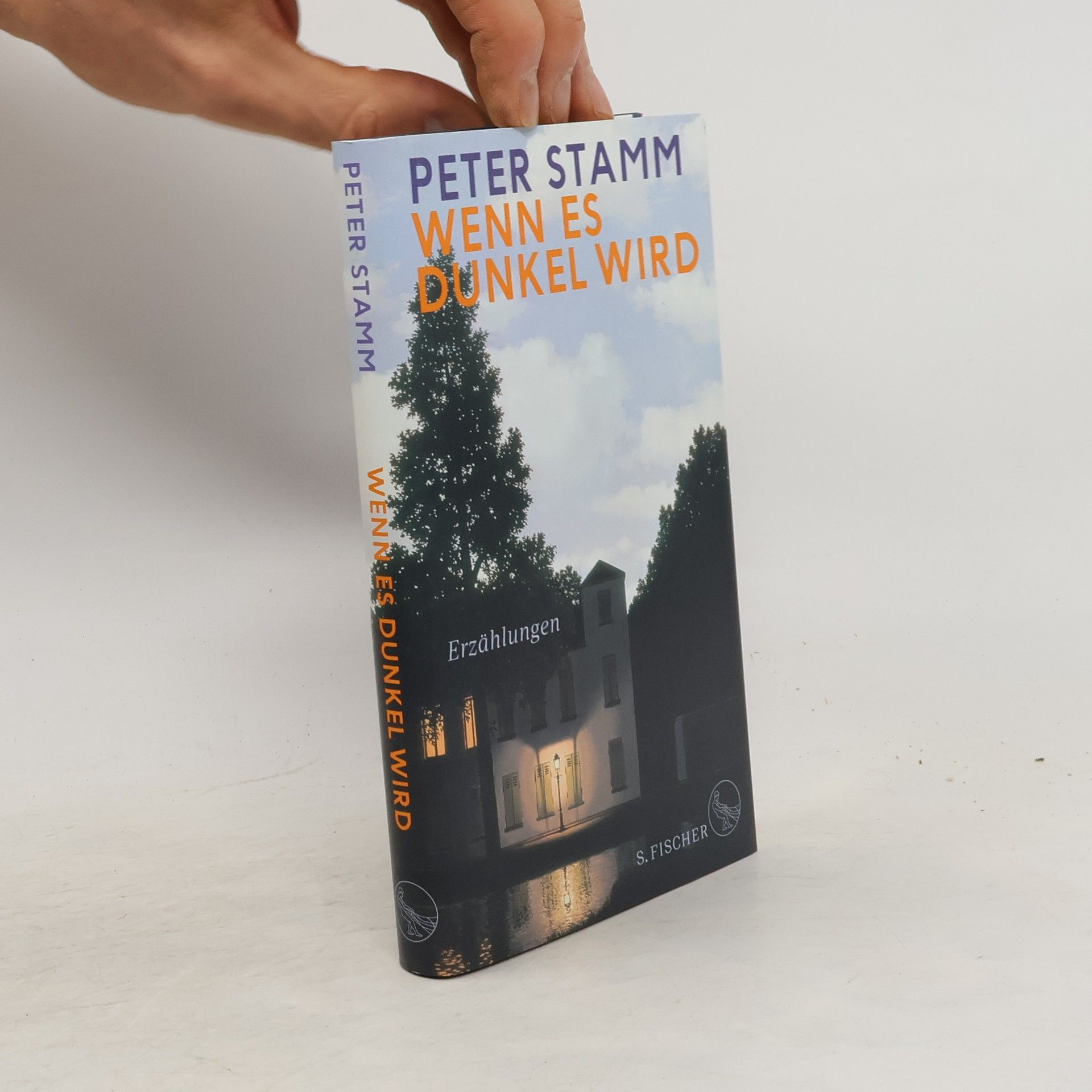 Peter Stamm Wenn es dunkel wird : Erzählungen