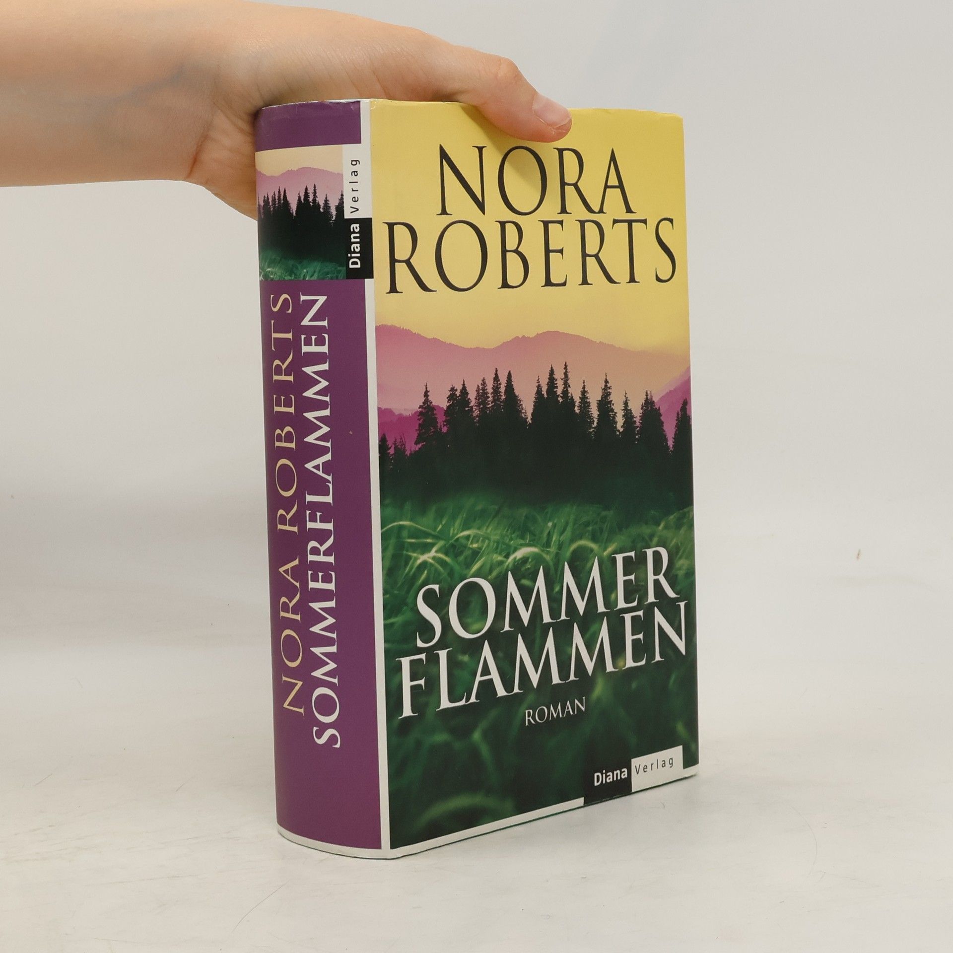 Nora Roberts Sommerflammen