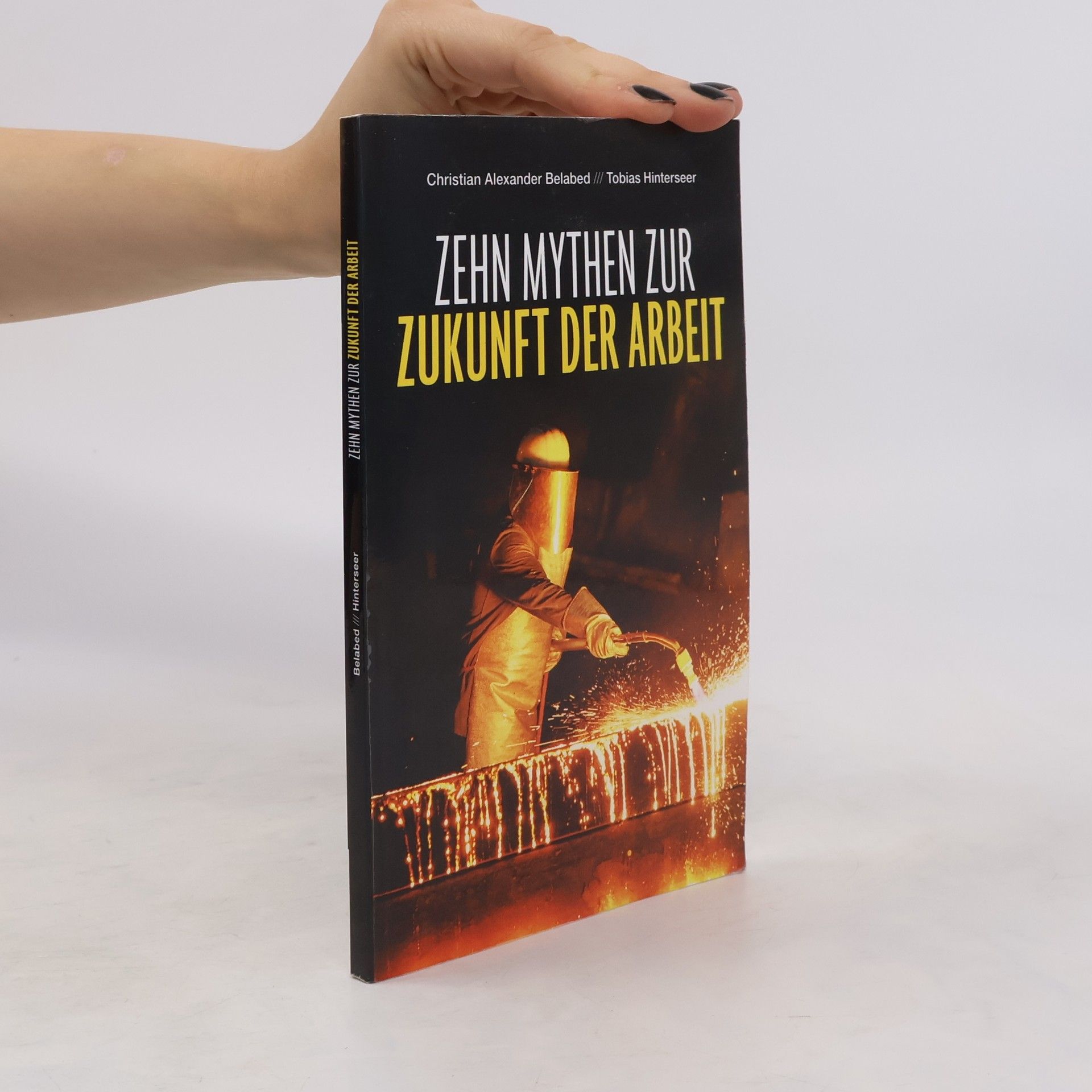 Christian Alexander Belabed Zehn Mythen zur Zukunft der Arbeit