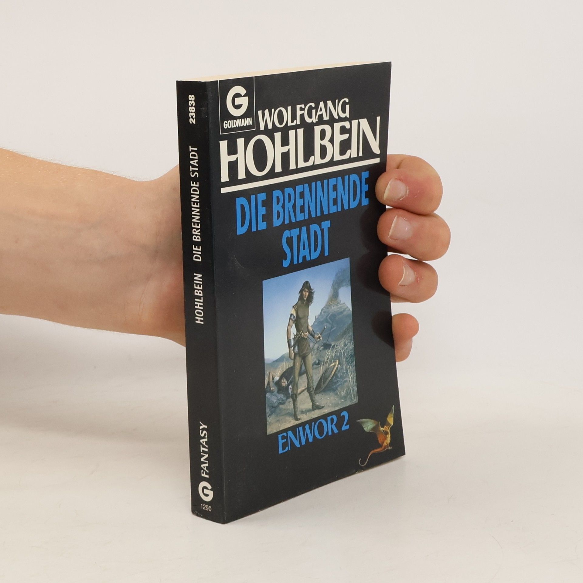 Wolfgang Hohlbein Die brennende Stadt
