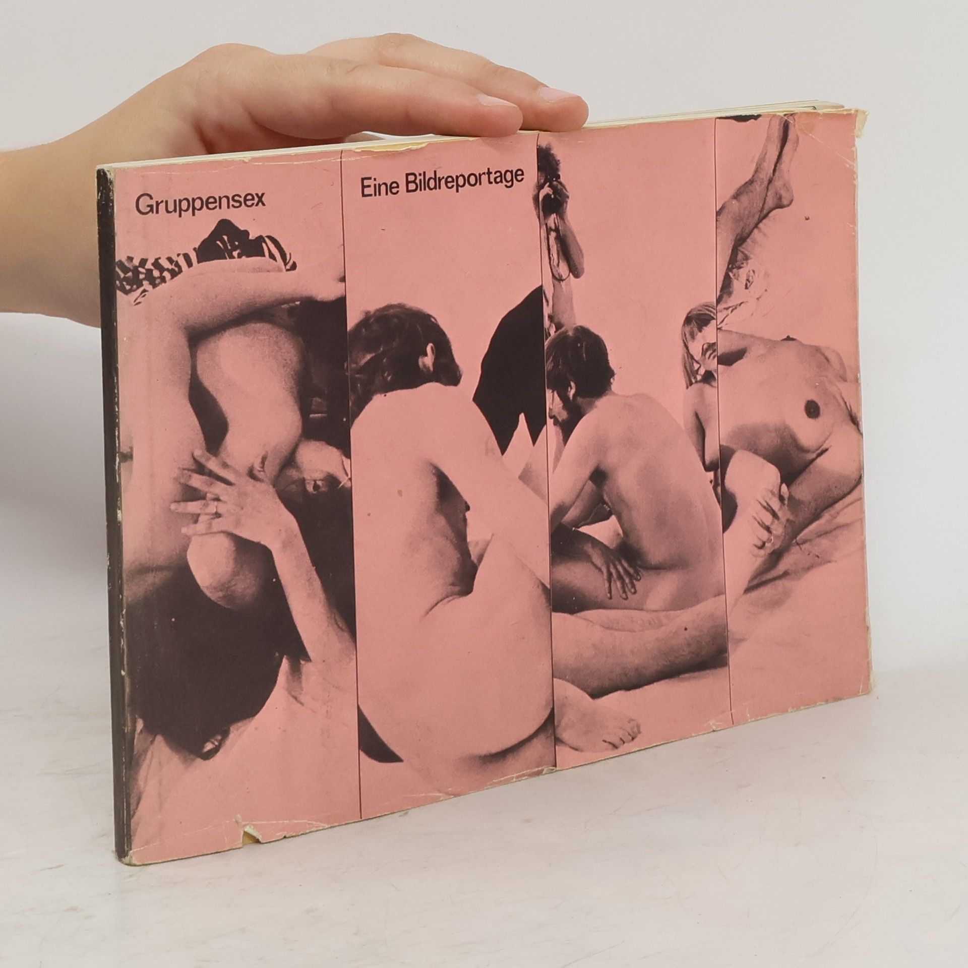 Collectif d'auteurs Gruppensex