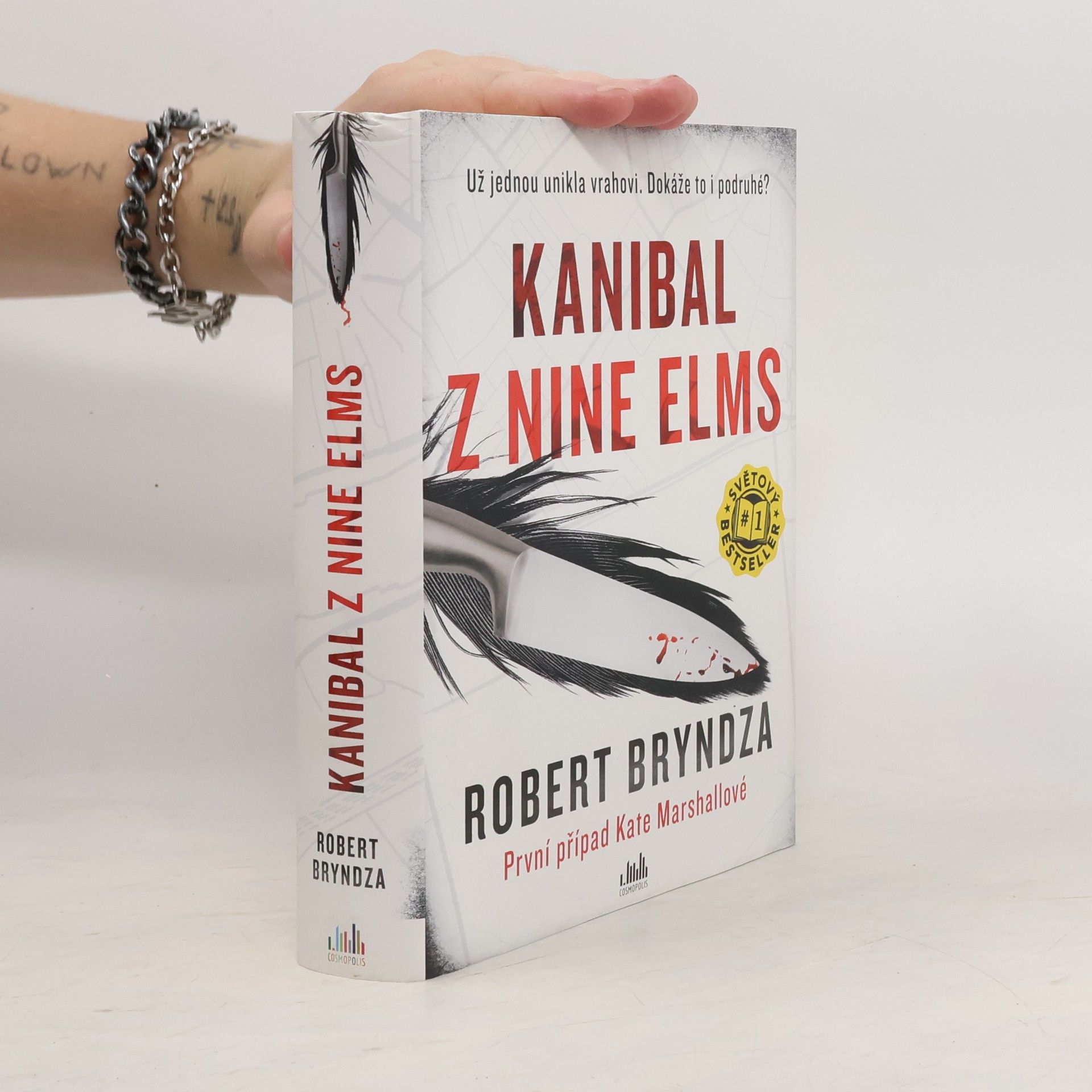 Robert Bryndza Kanibal z Nine Elms
