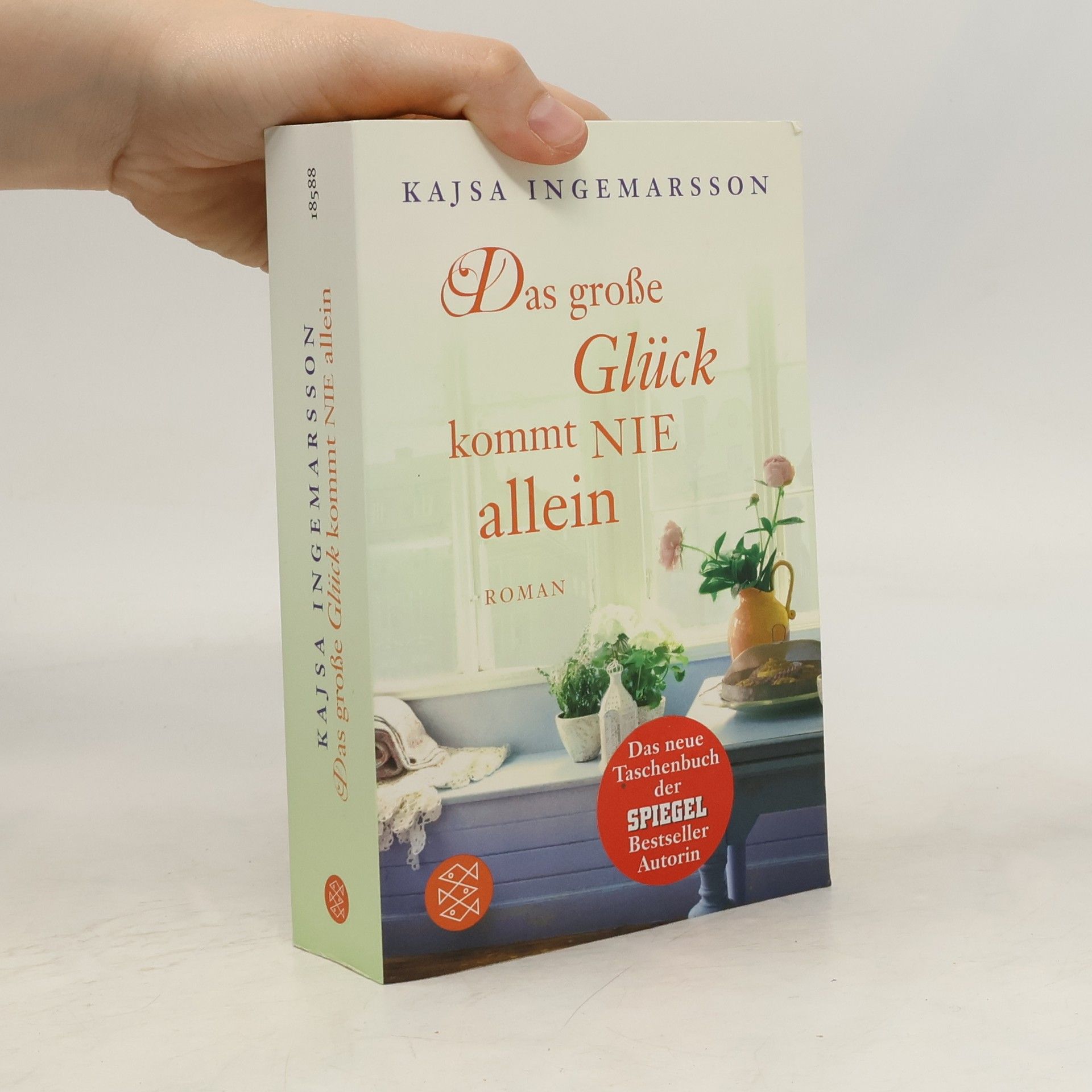 Kajsa Ingemarsson Das grose Glück kommt nie allein