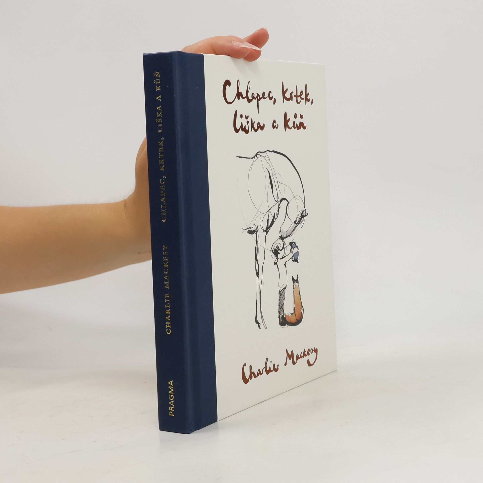 Charlie Mackesy Chlapec, krtek, liška a kůň